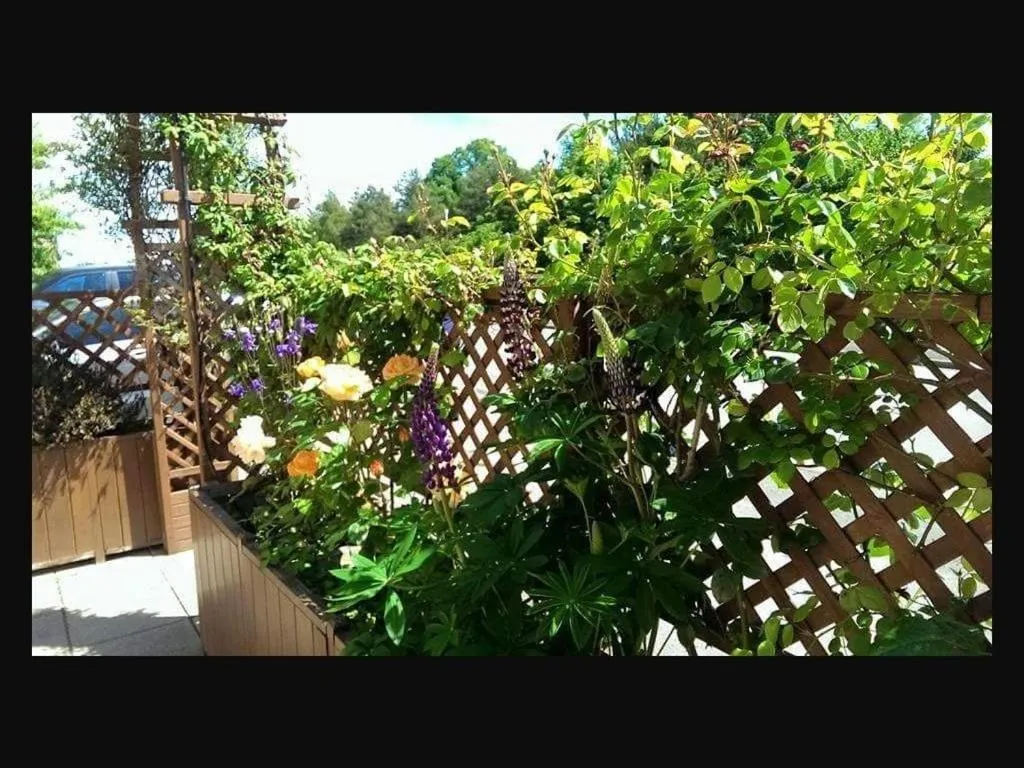 Property building in The Old Bell