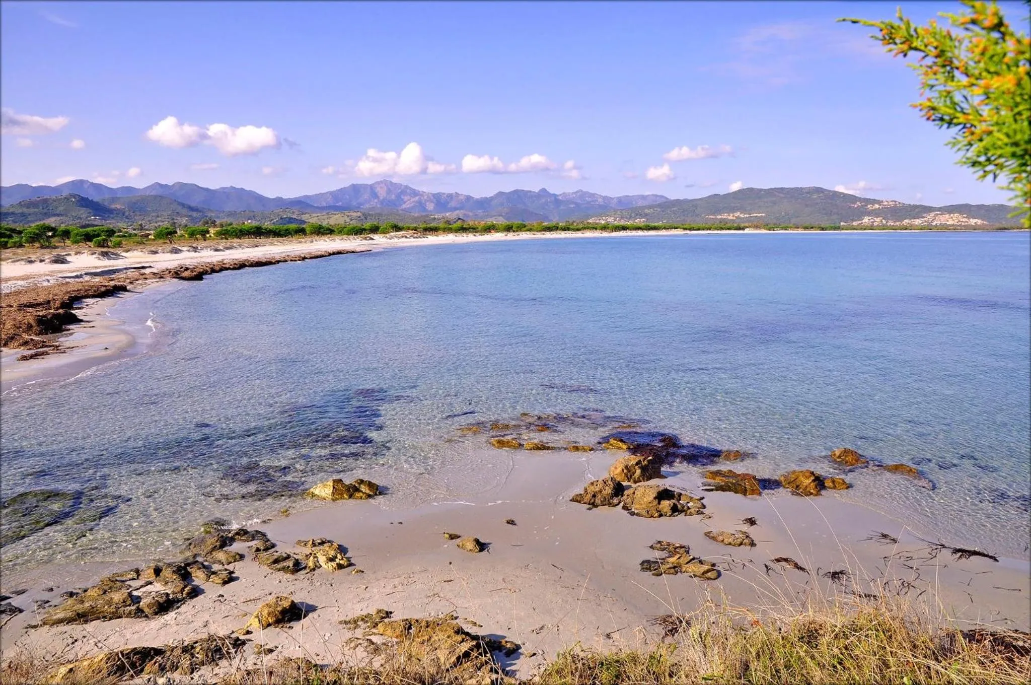 Beach in Appartamenti Le Magnolie