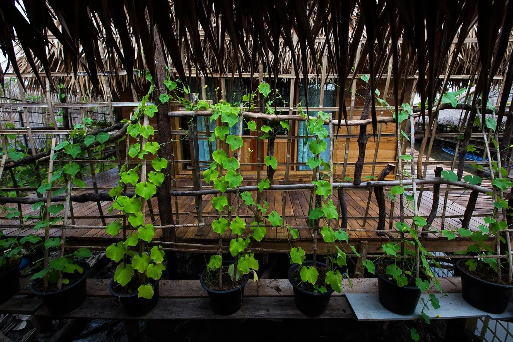 Baan​ Tonlamphu​ Pakpra