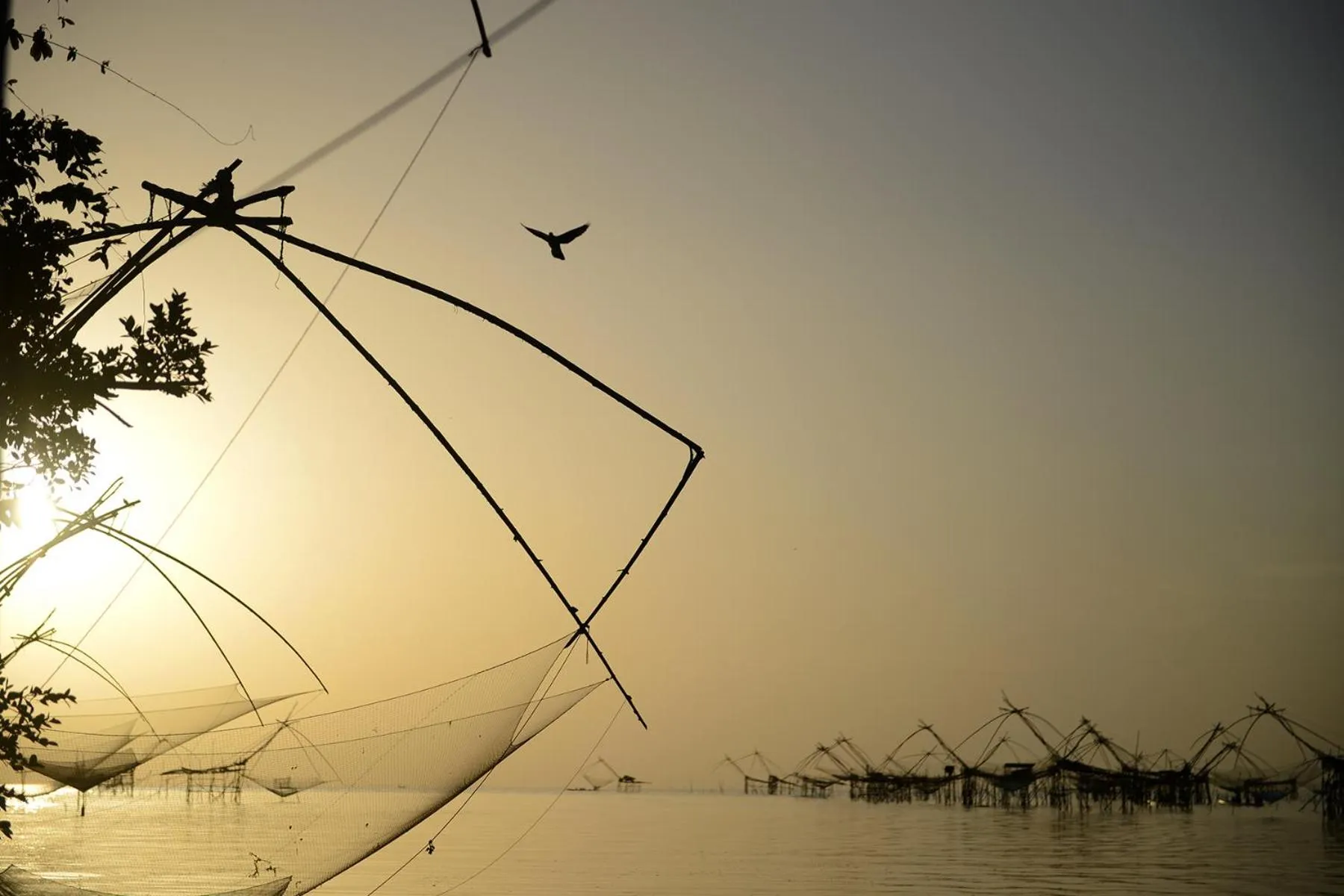 Natural landscape in Baan​ Tonlamphu​ Pakpra