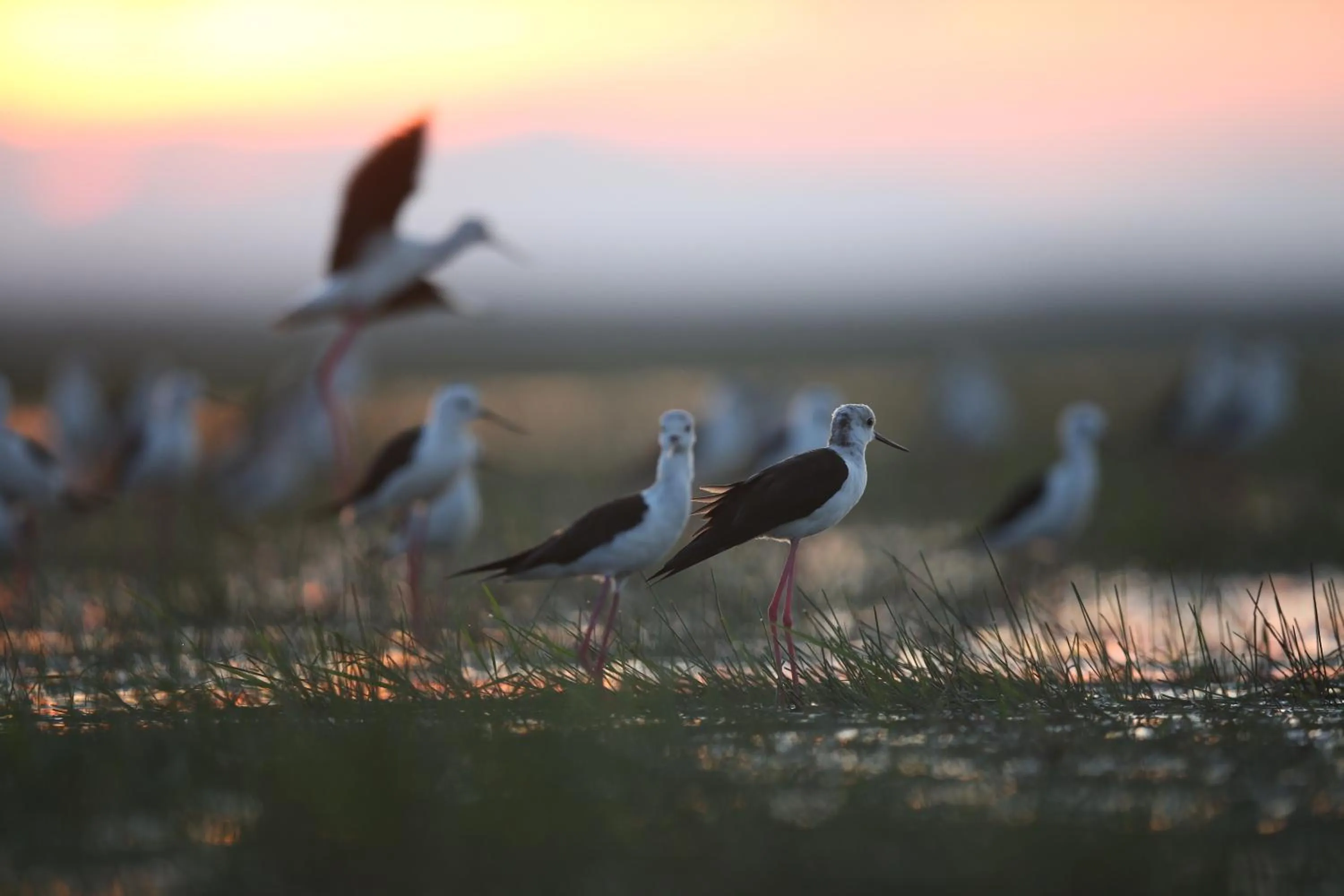 Activities in Baan​ Tonlamphu​ Pakpra