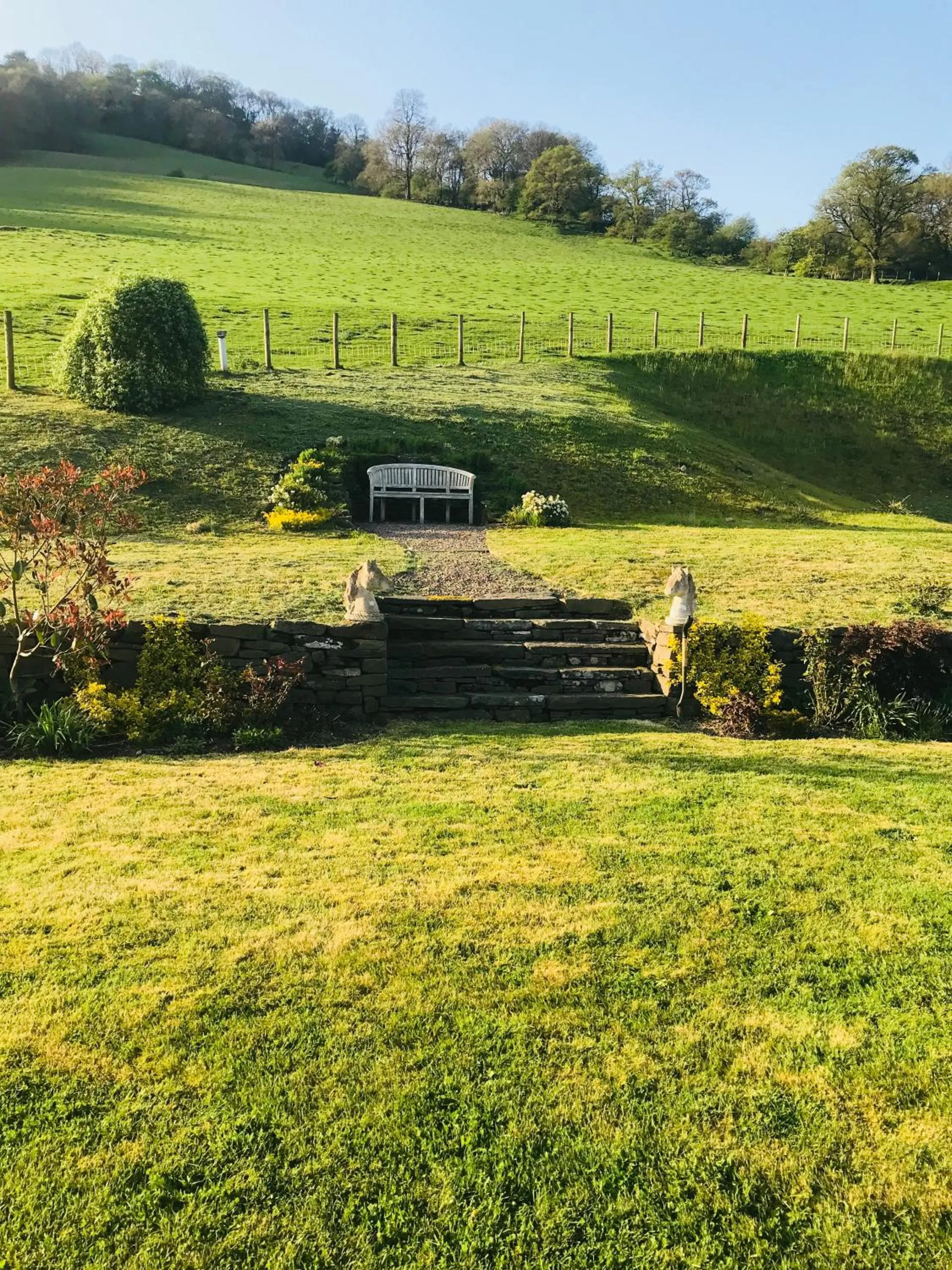 Natural landscape in The Celyn