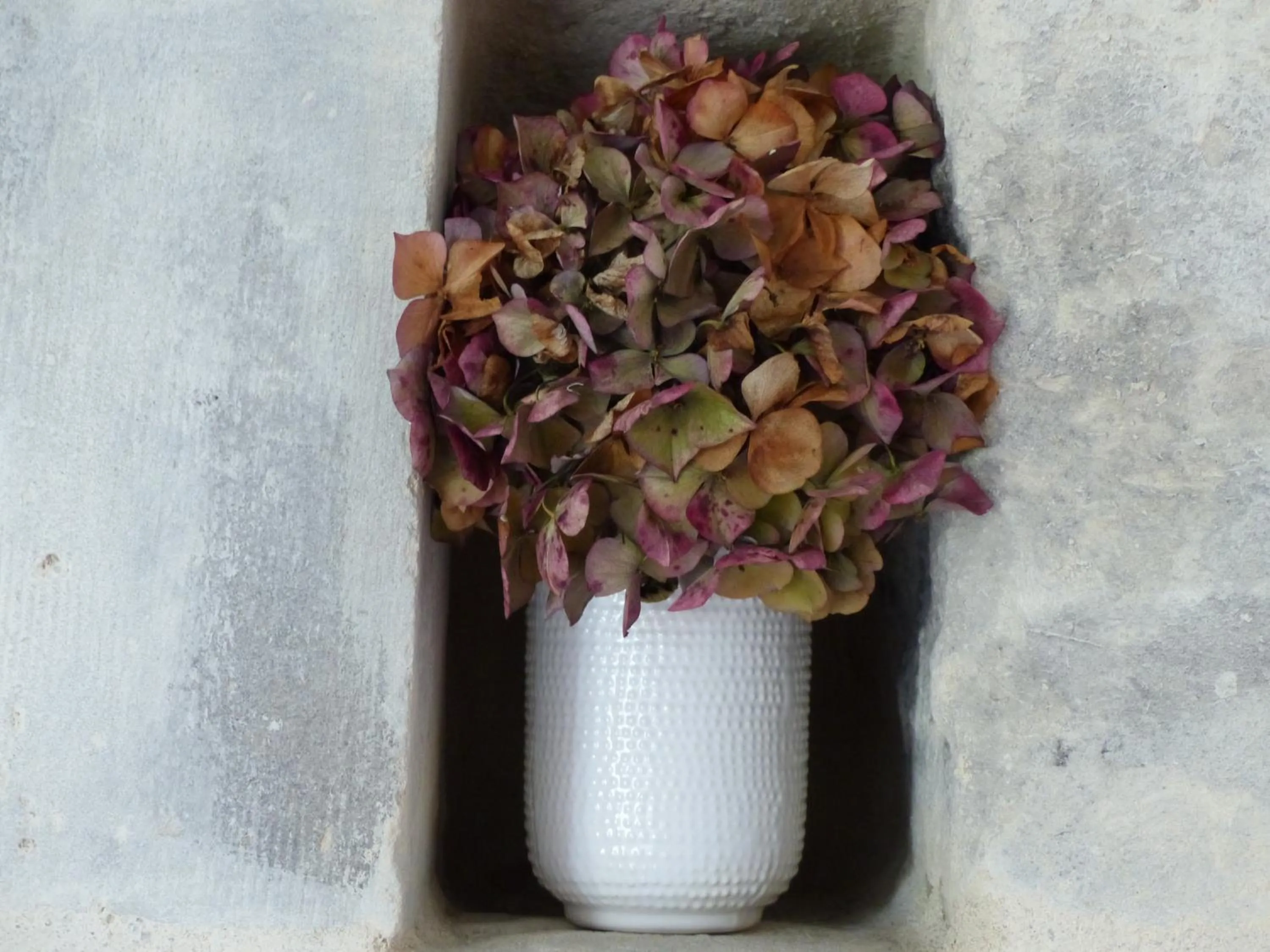 L'Alambic De L'Estuaire