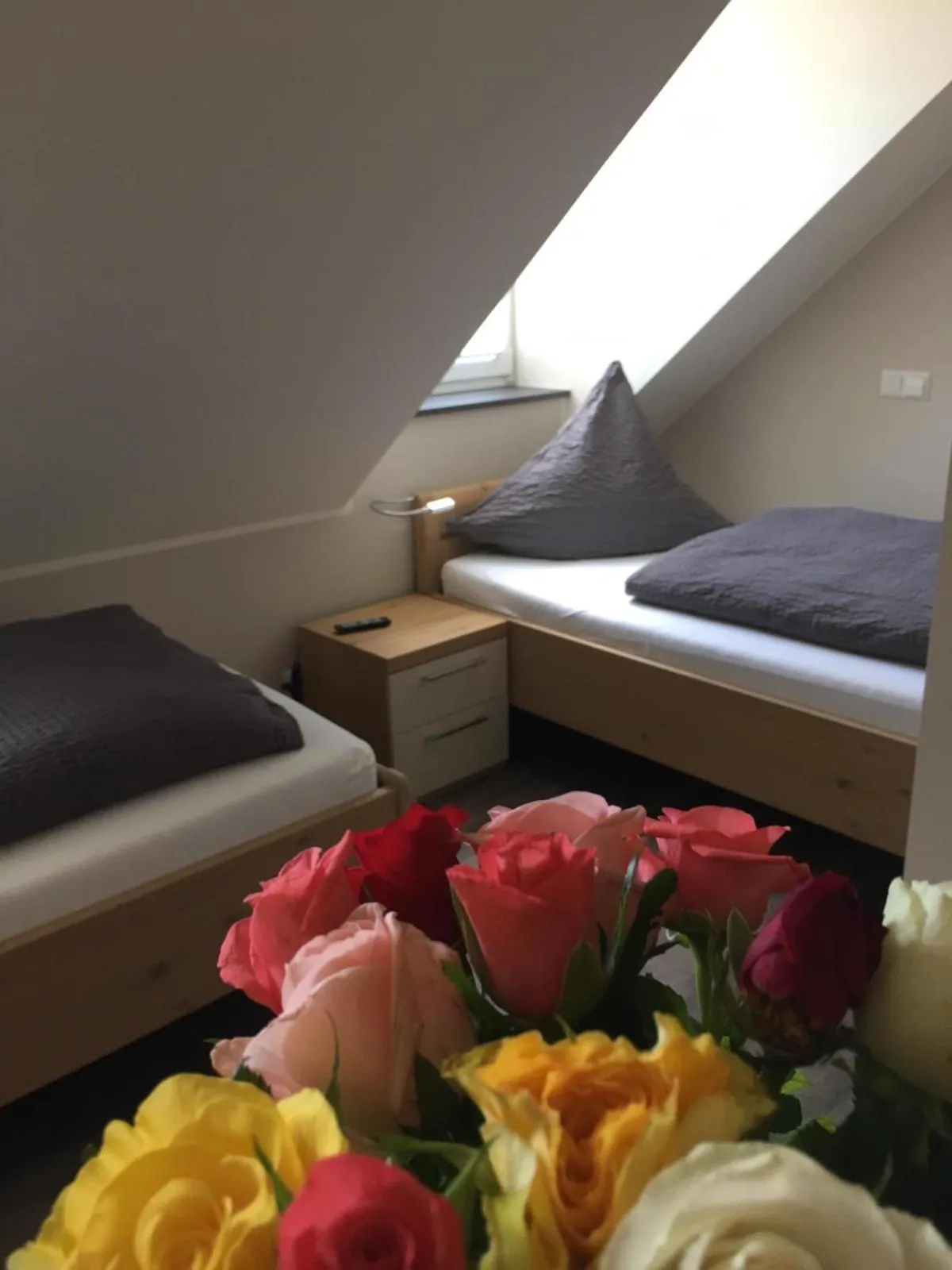Standard Twin Room - single occupancy in Haus am Parc