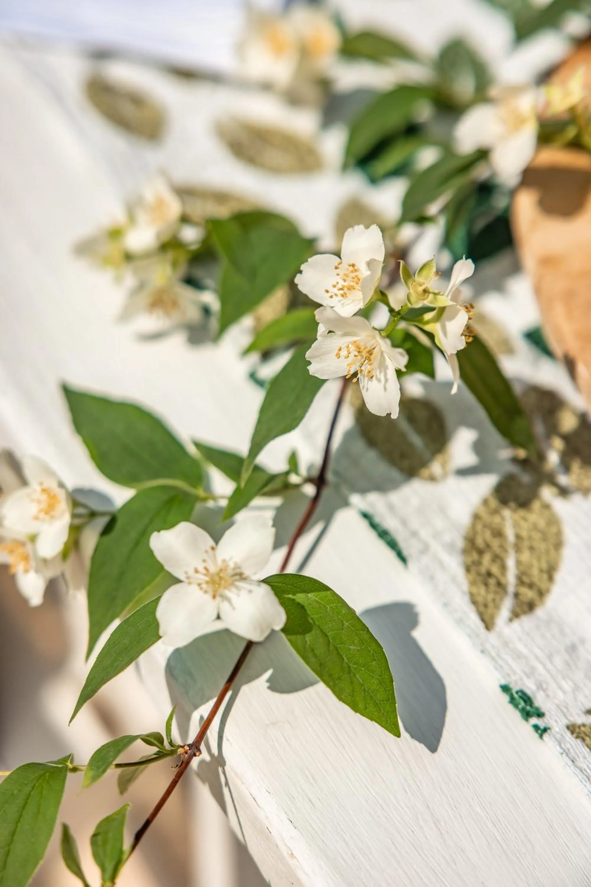 Spring in MandorleOlio