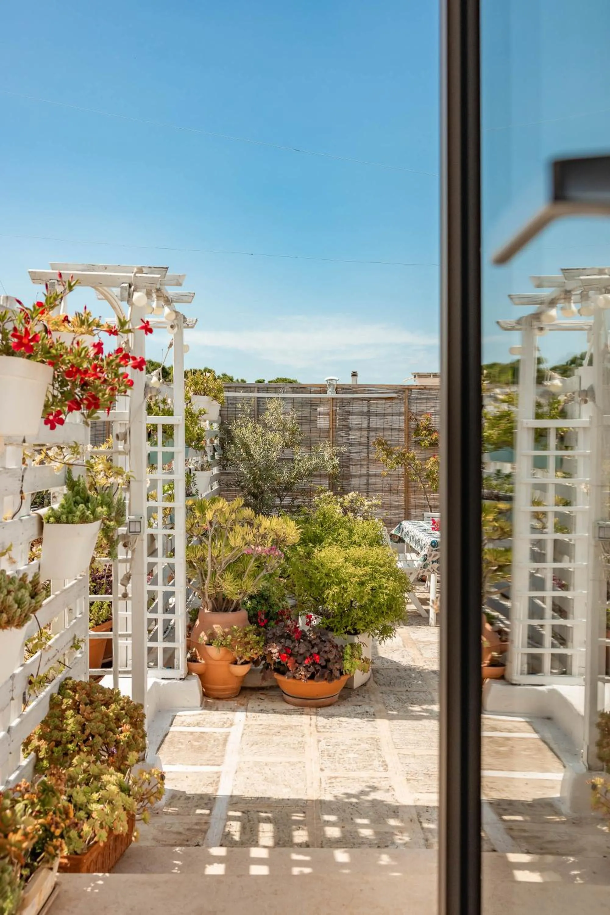 Patio in MandorleOlio