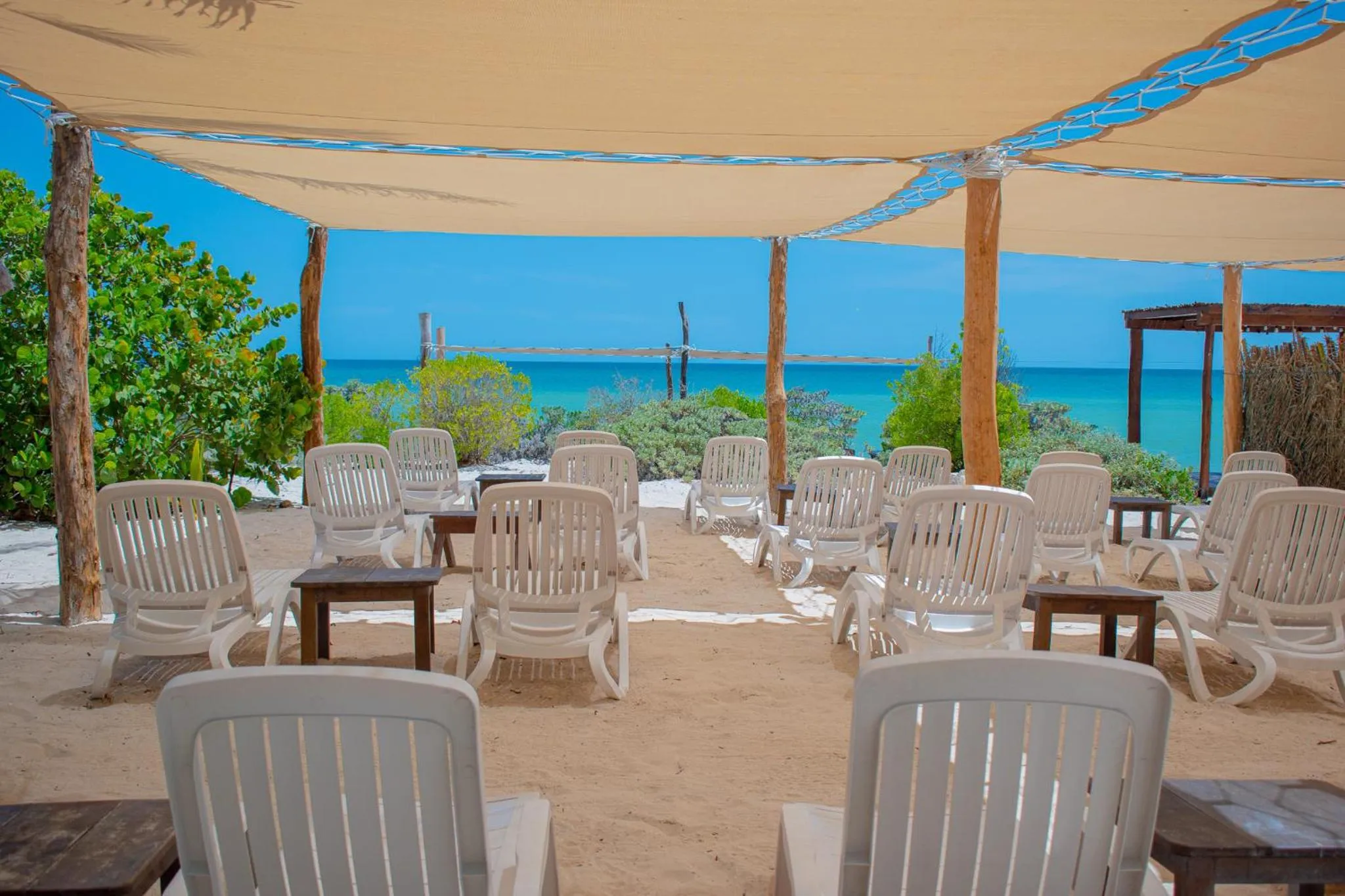 Natural landscape in Tecnohotel Beach