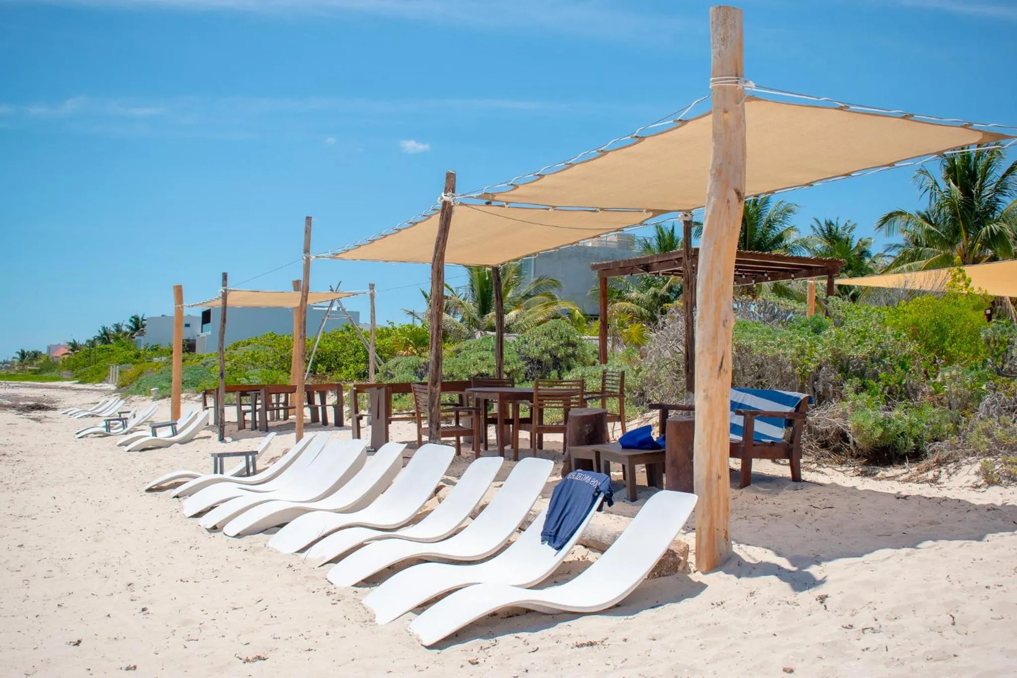 Natural landscape in Tecnohotel Beach