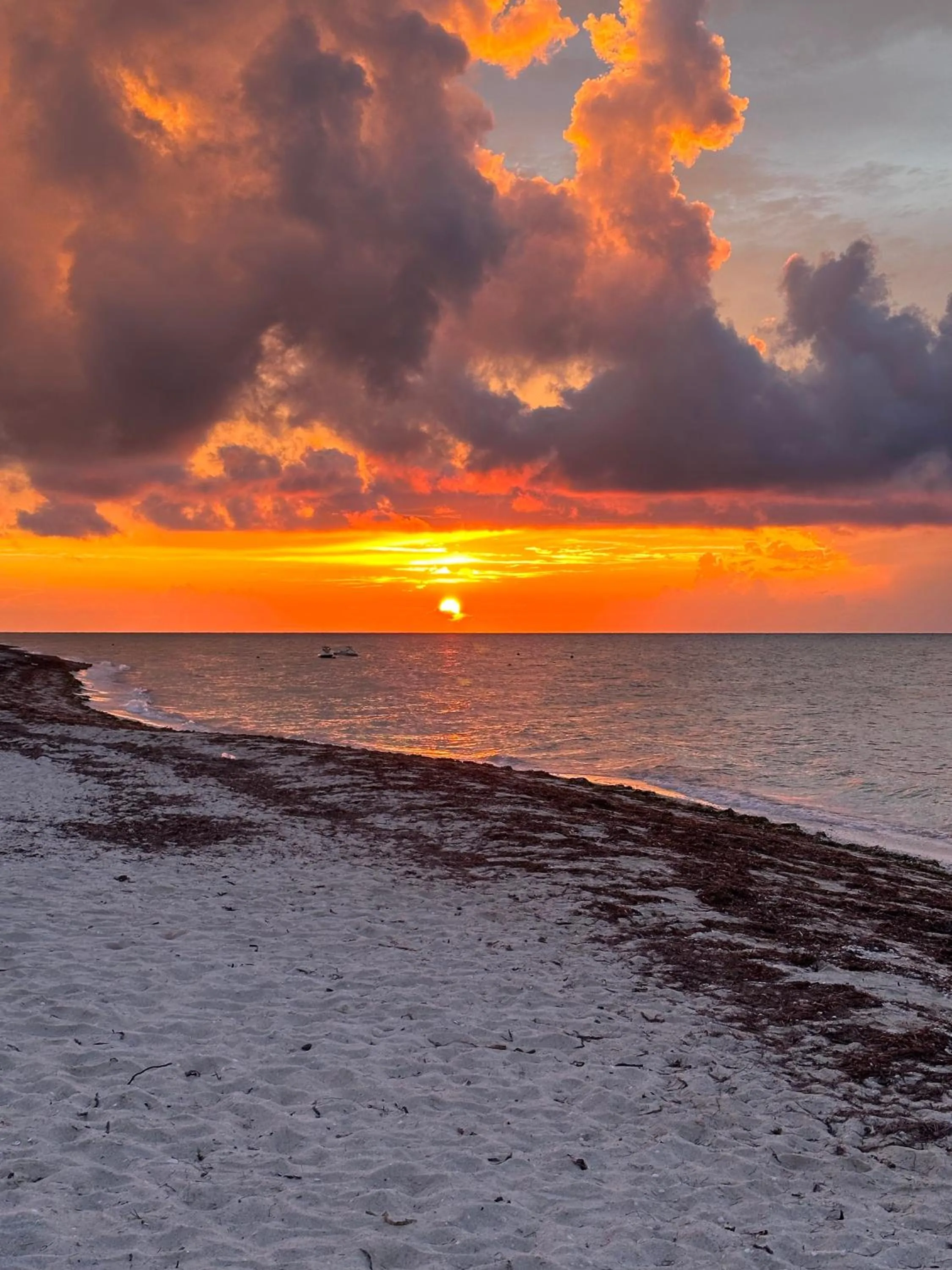 Beach in Tecnohotel Beach