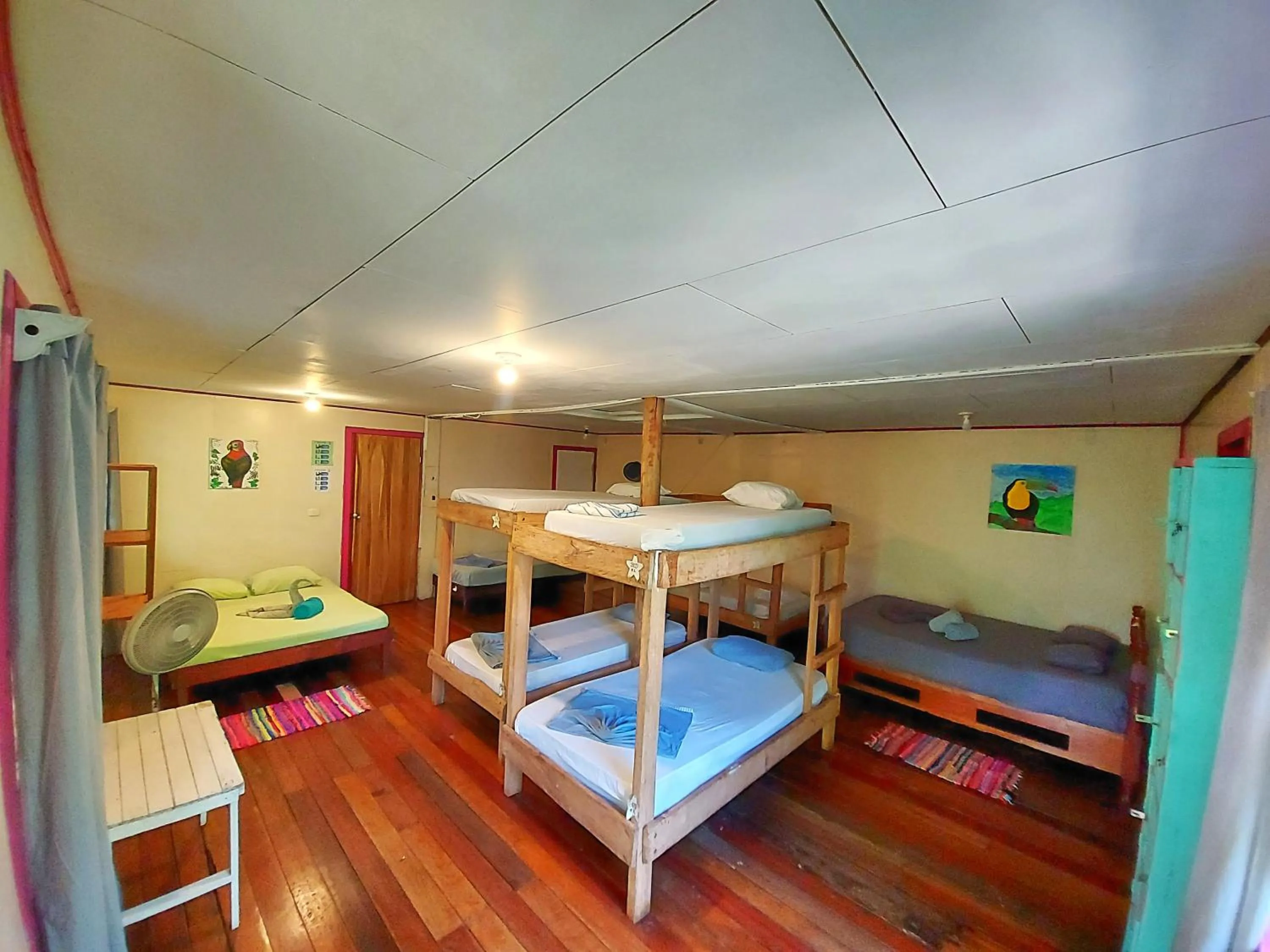 bunk bed, Bed in Cabinas Tortuguero