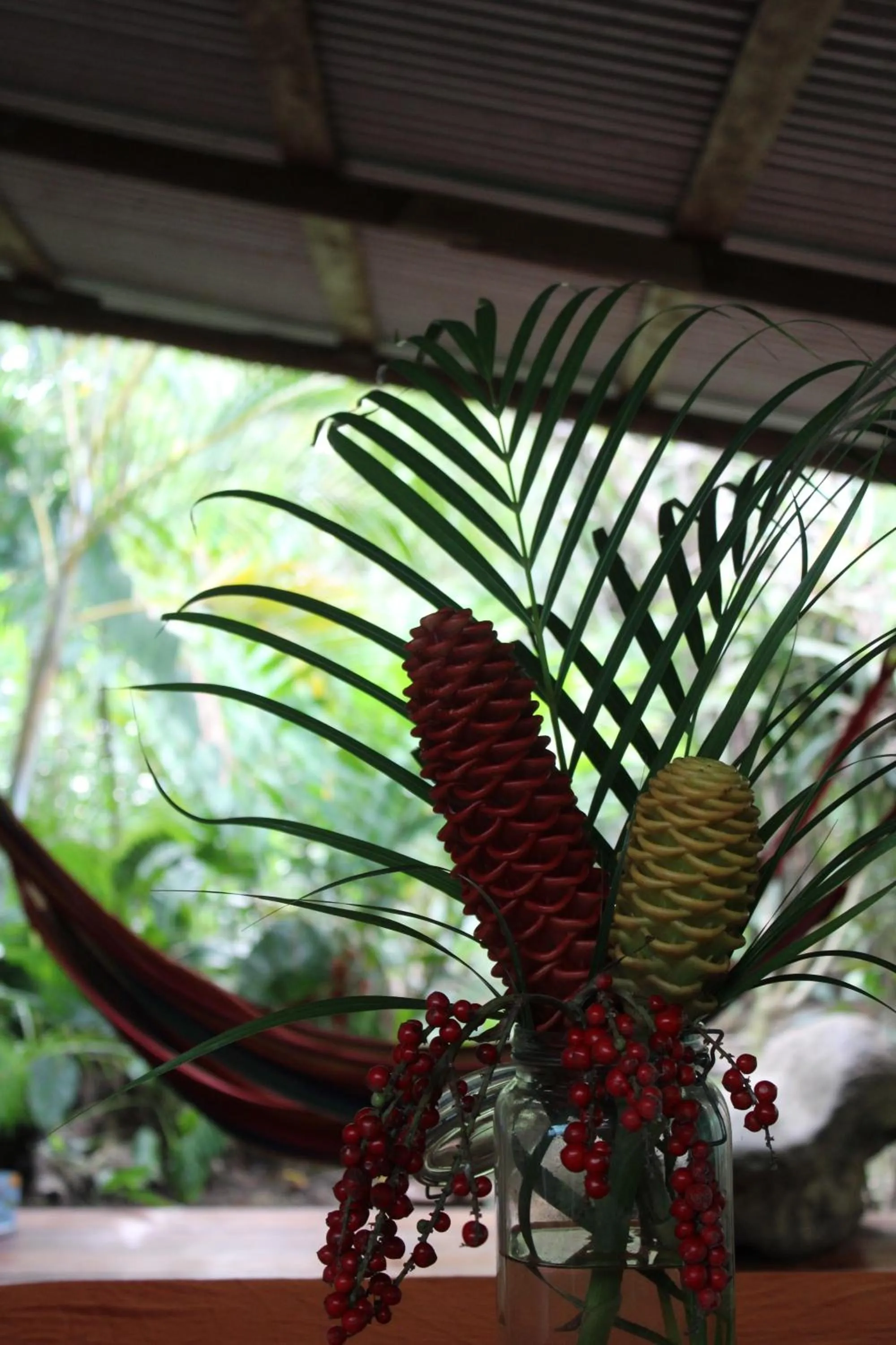 Lobby or reception in Cabinas Tortuguero