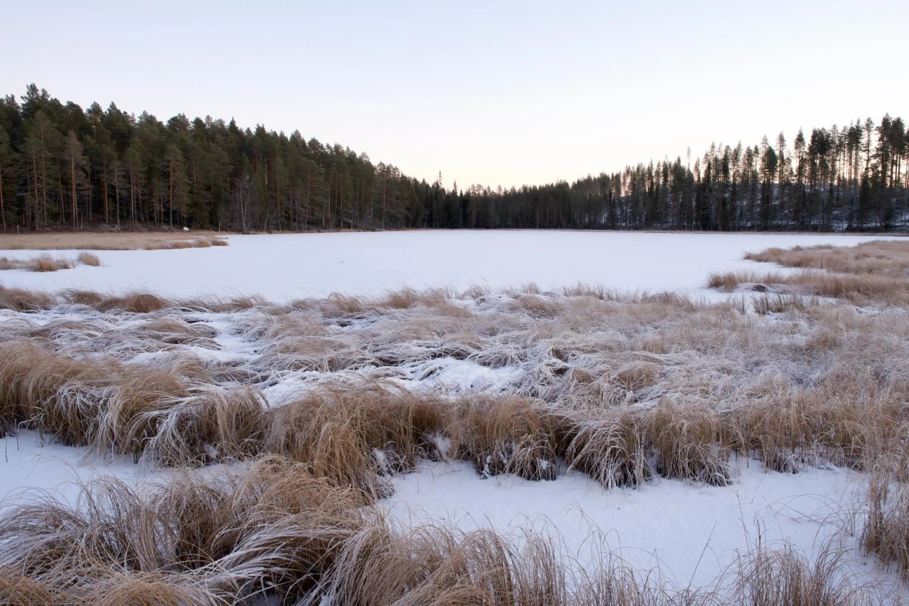 Taigaschool Eco Hotel