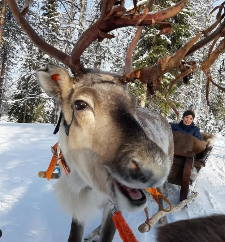 Taigaschool Eco Hotel