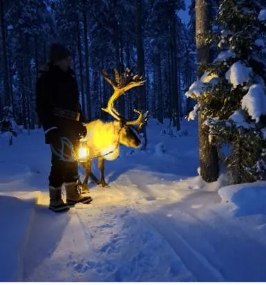 Taigaschool Eco Hotel