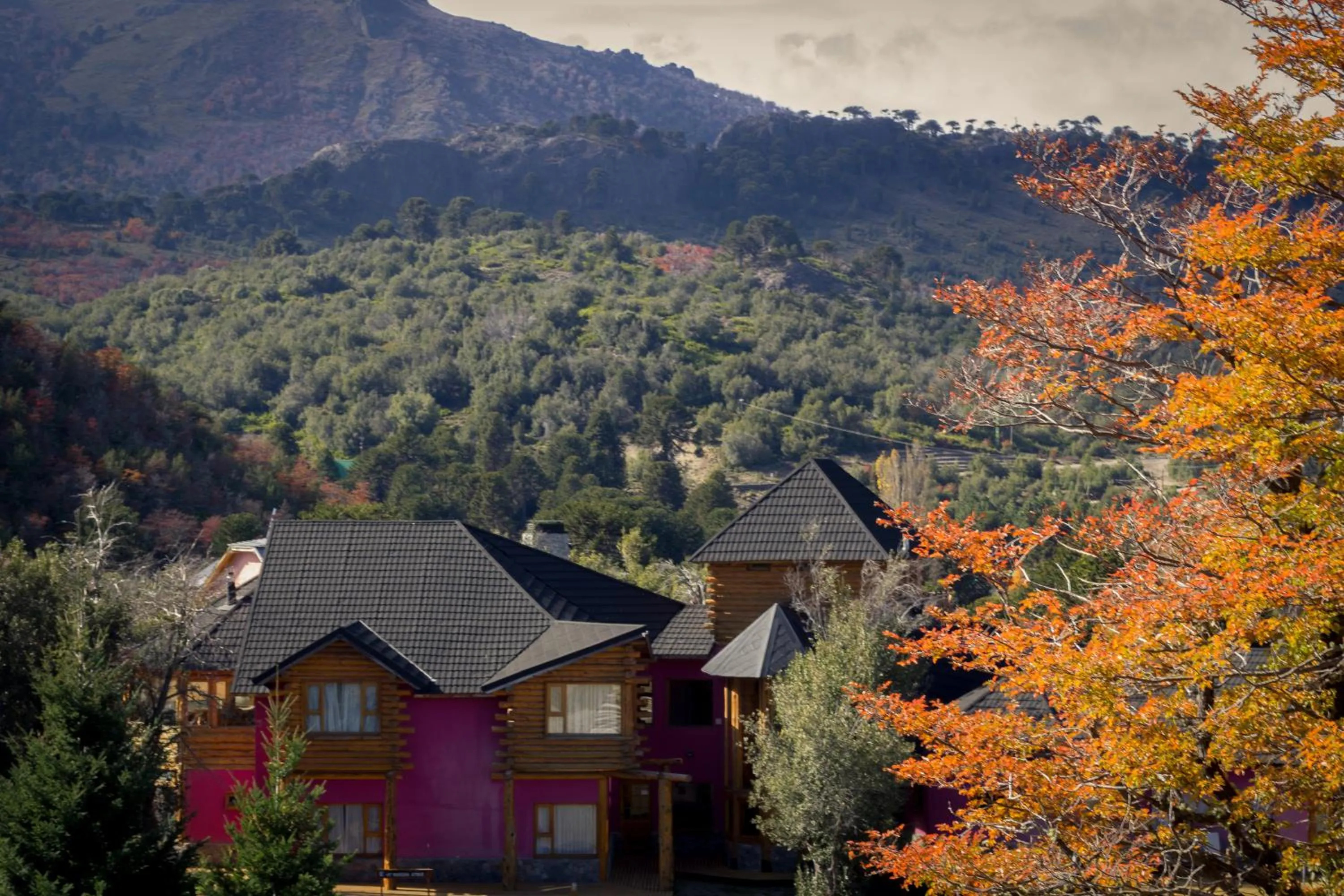 Natural landscape in Complejo Puerto Malén Club de Montaña