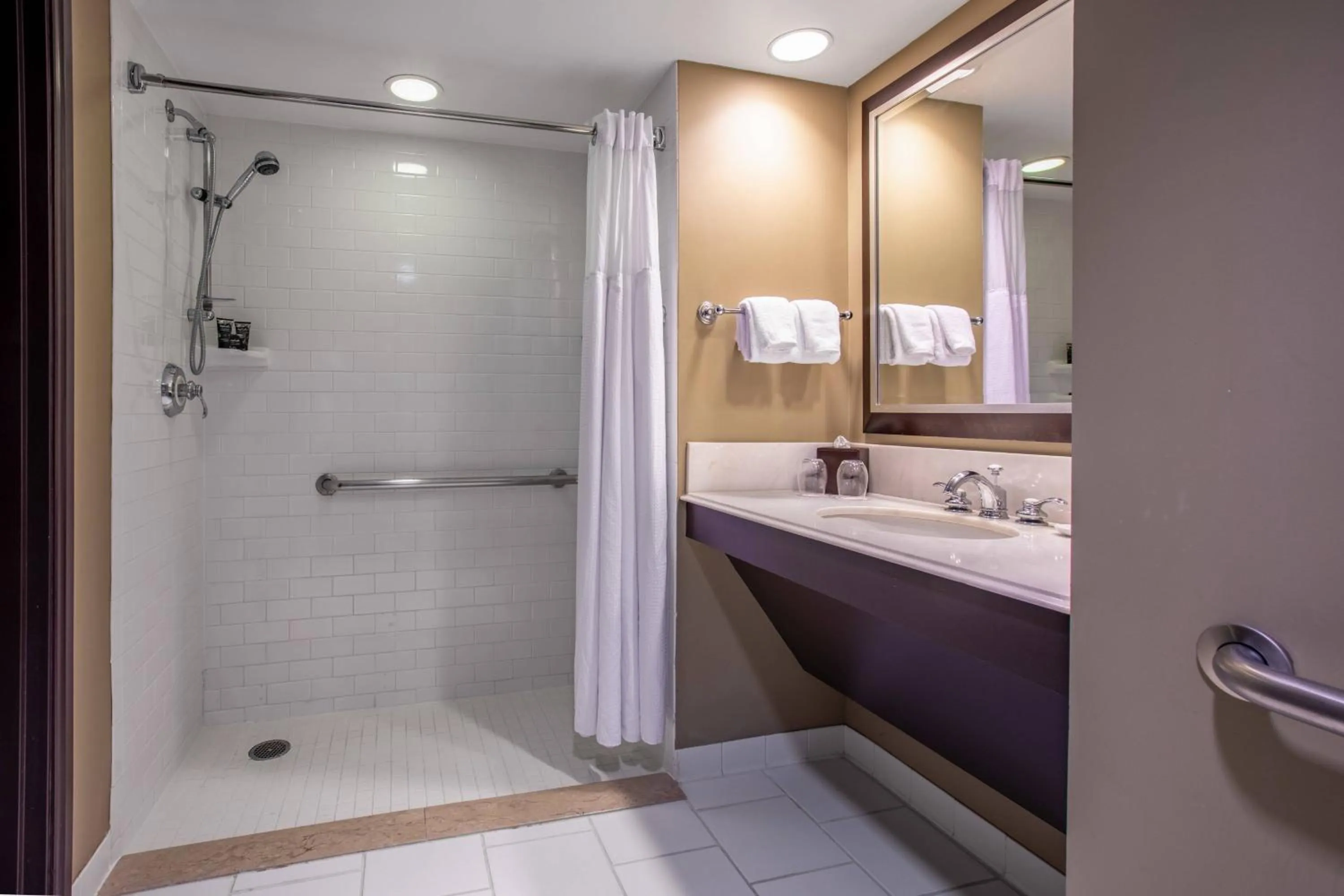 Bathroom in Grand Bohemian Orlando, Autograph Collection