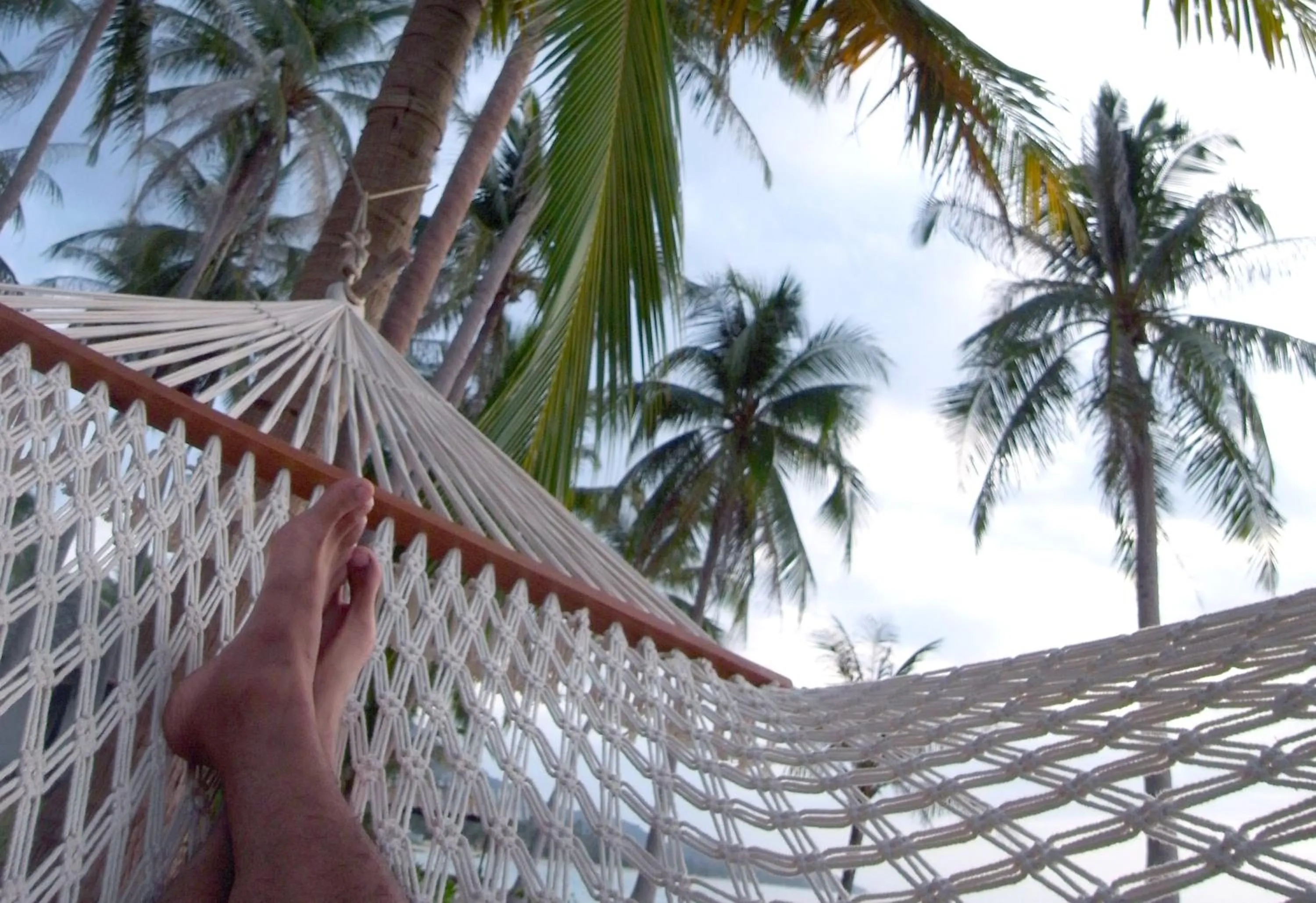 Other in Jasmine & Tea House