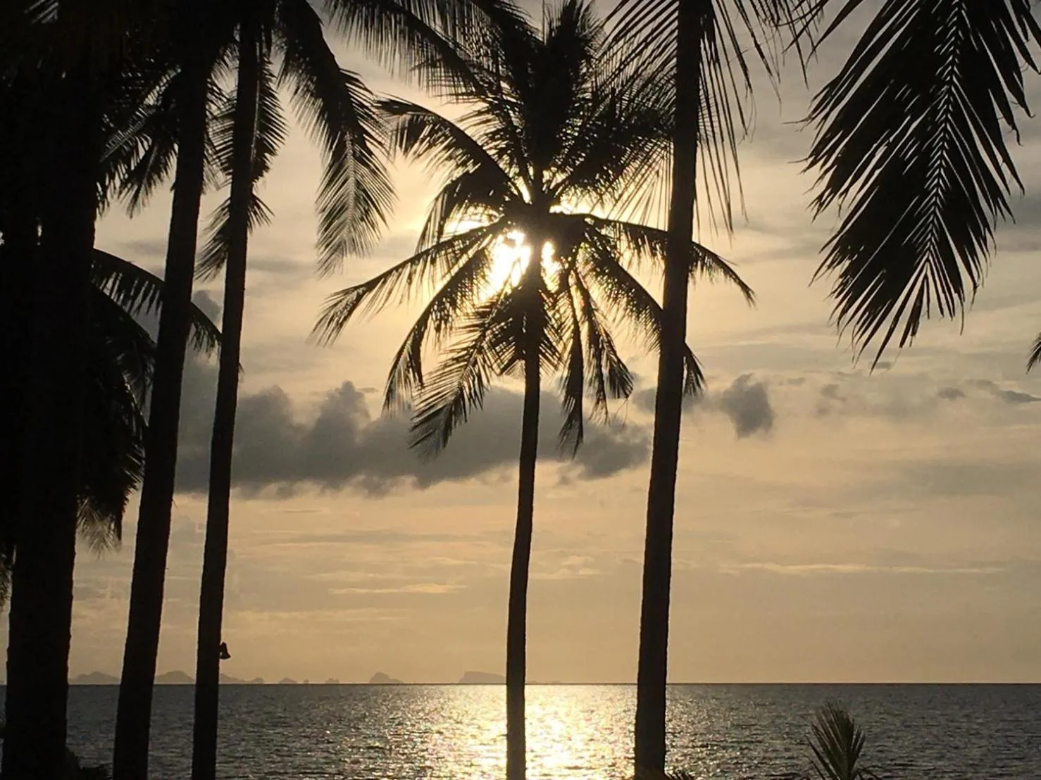 Natural landscape in Jasmine & Tea House