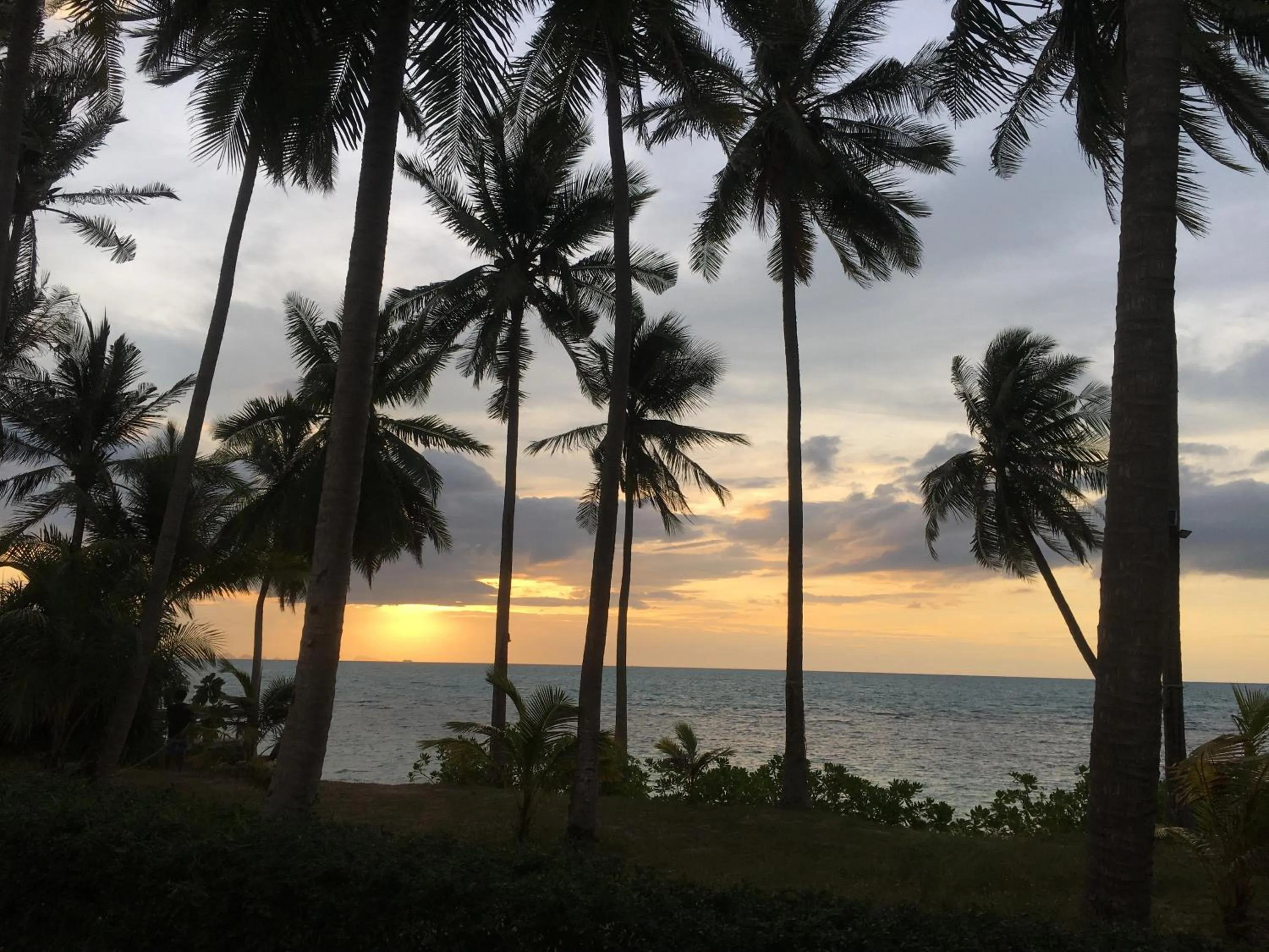 Natural landscape in Jasmine & Tea House