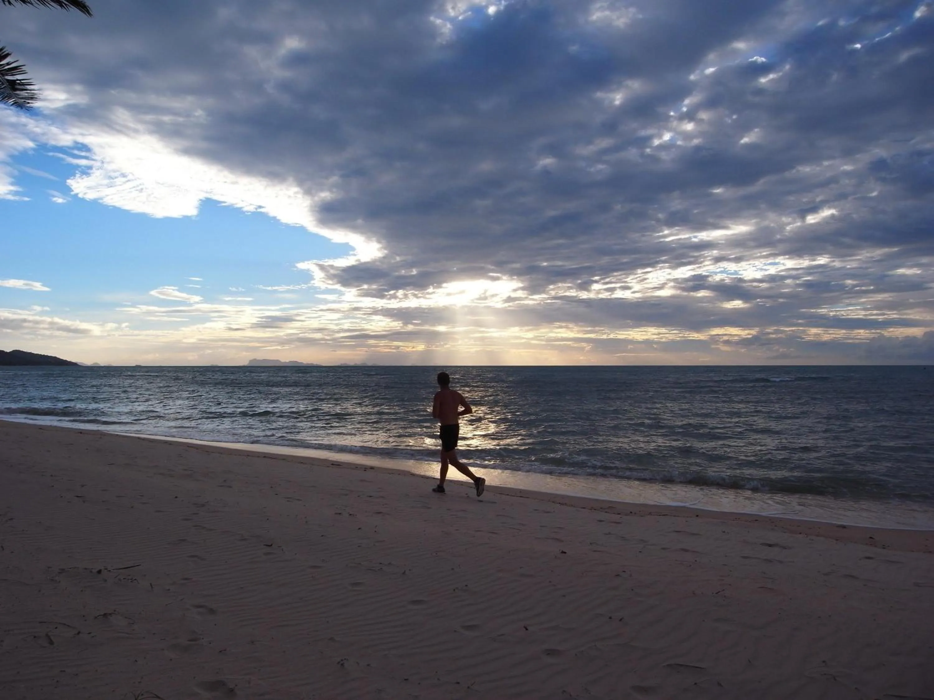 Area and facilities in Jasmine & Tea House