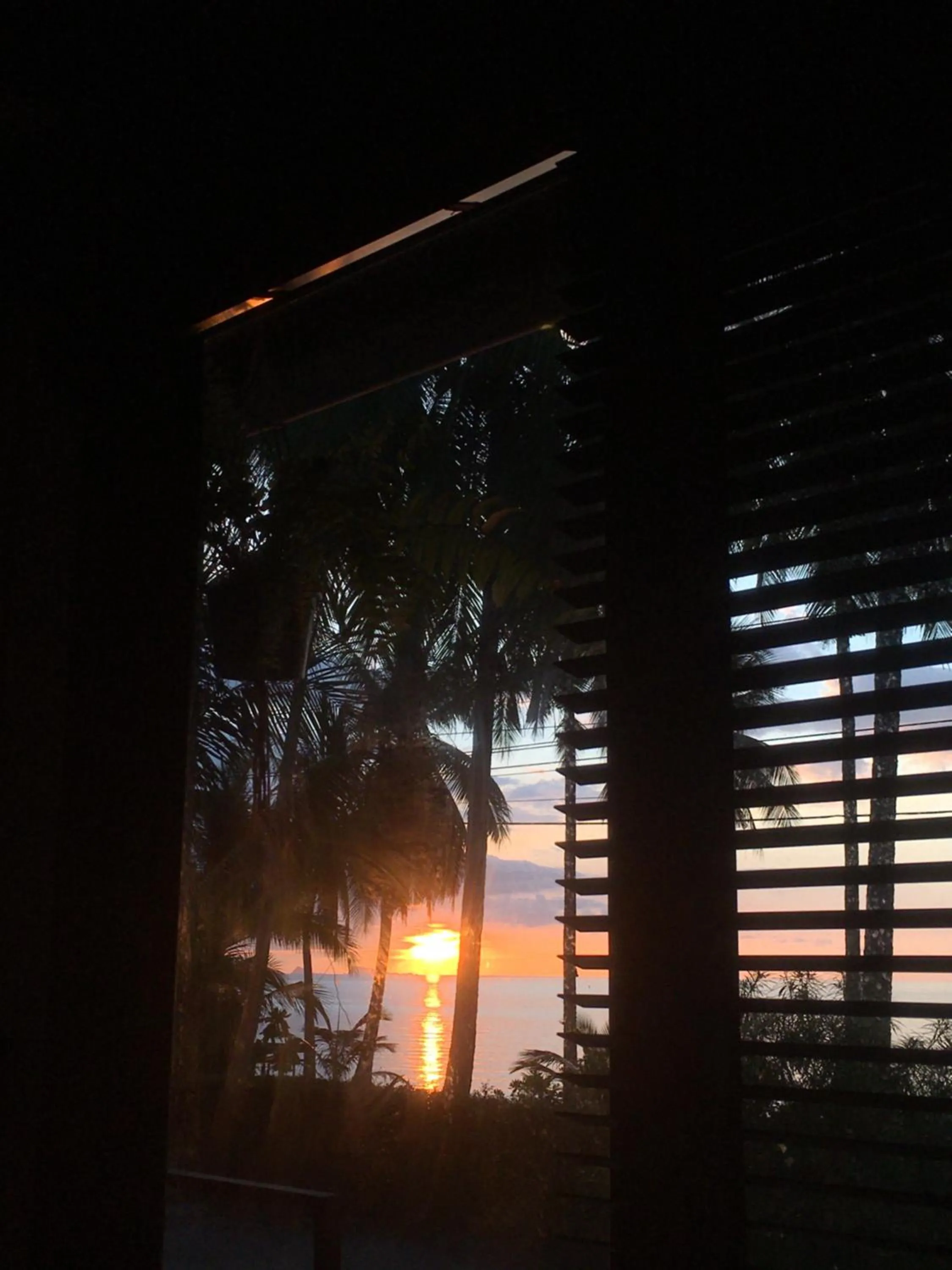 Beach in Jasmine & Tea House