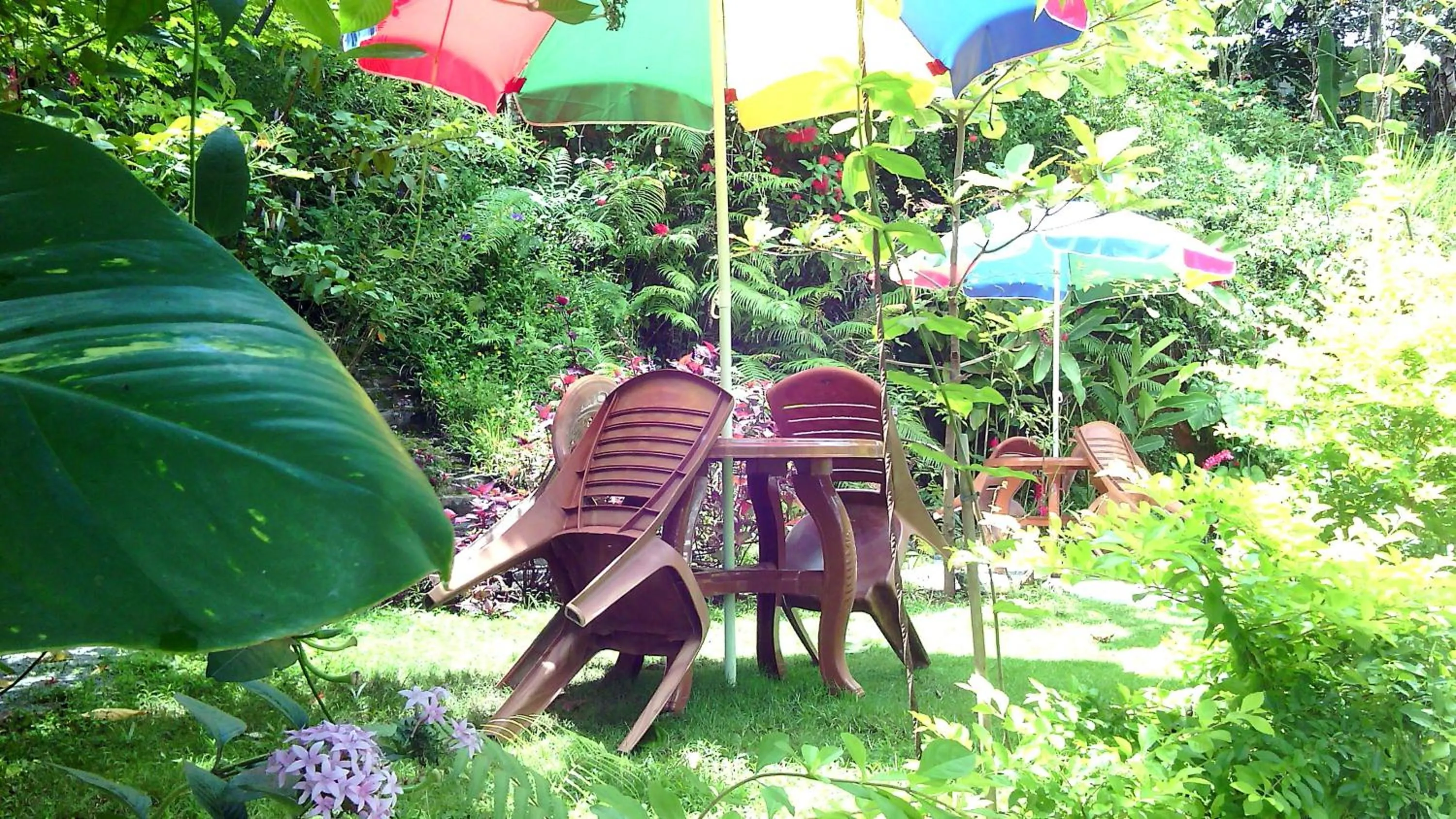 Garden view in Haniffas Holiday Inn