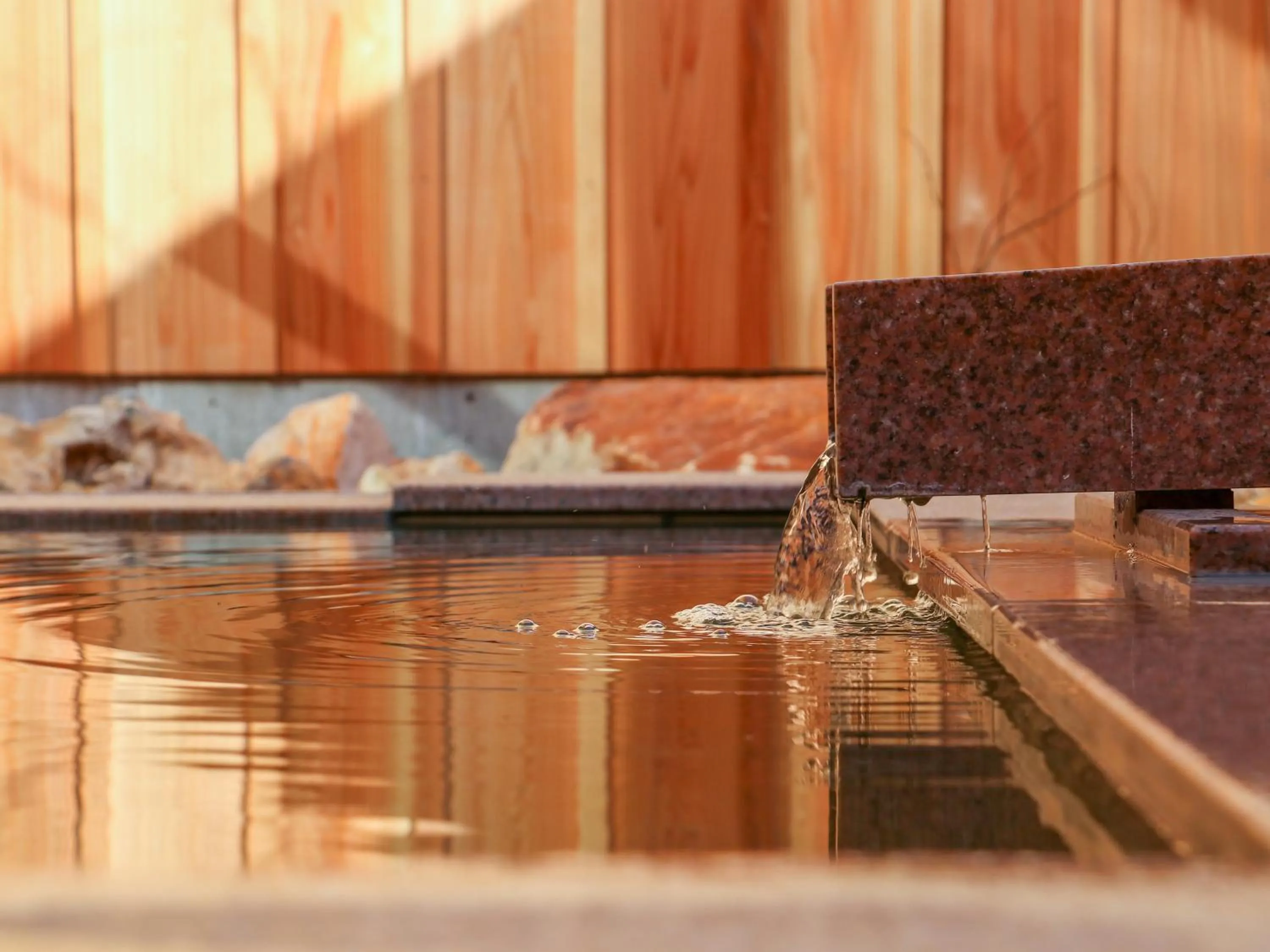 Hot Spring Bath in Toeikan