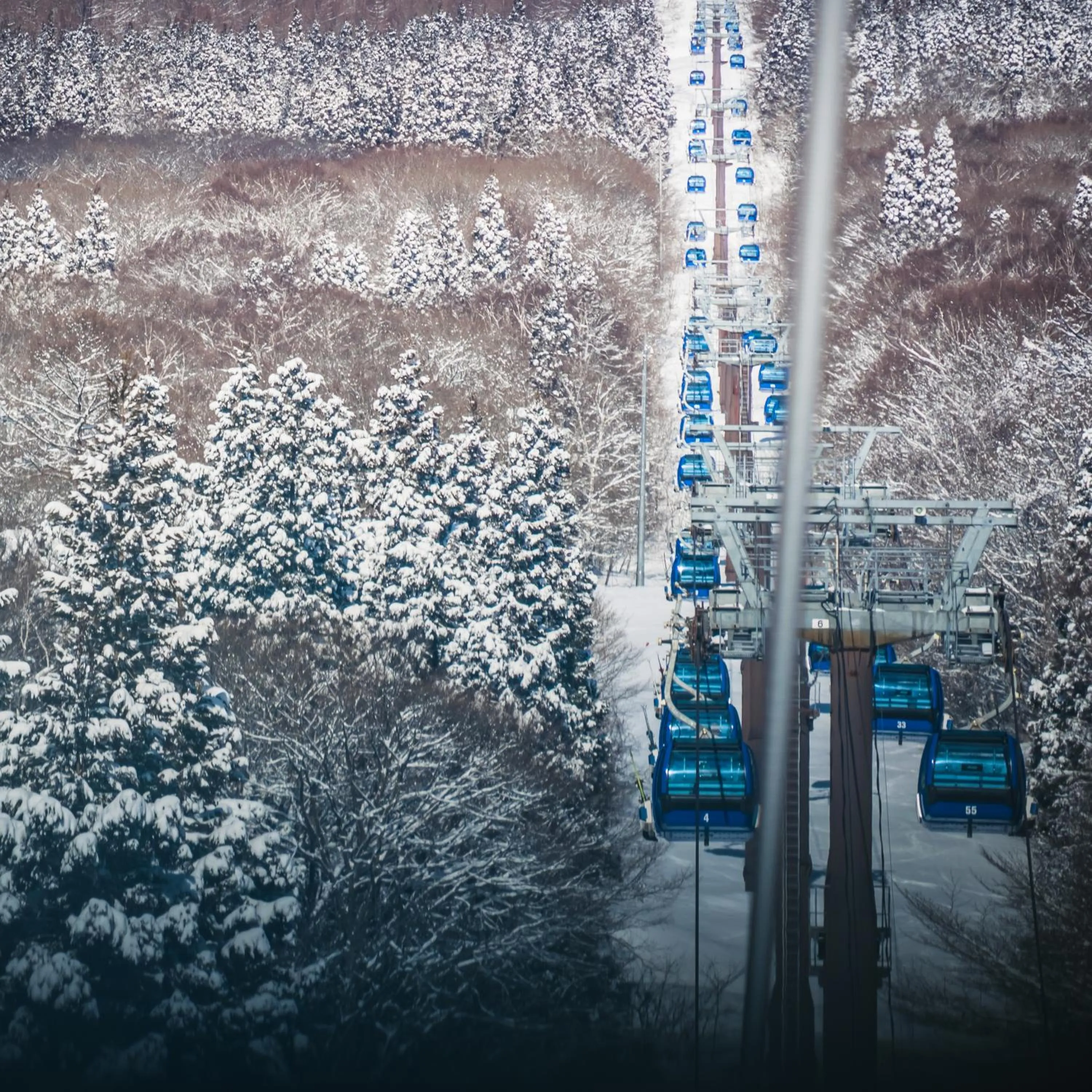 Activities in Myoko House