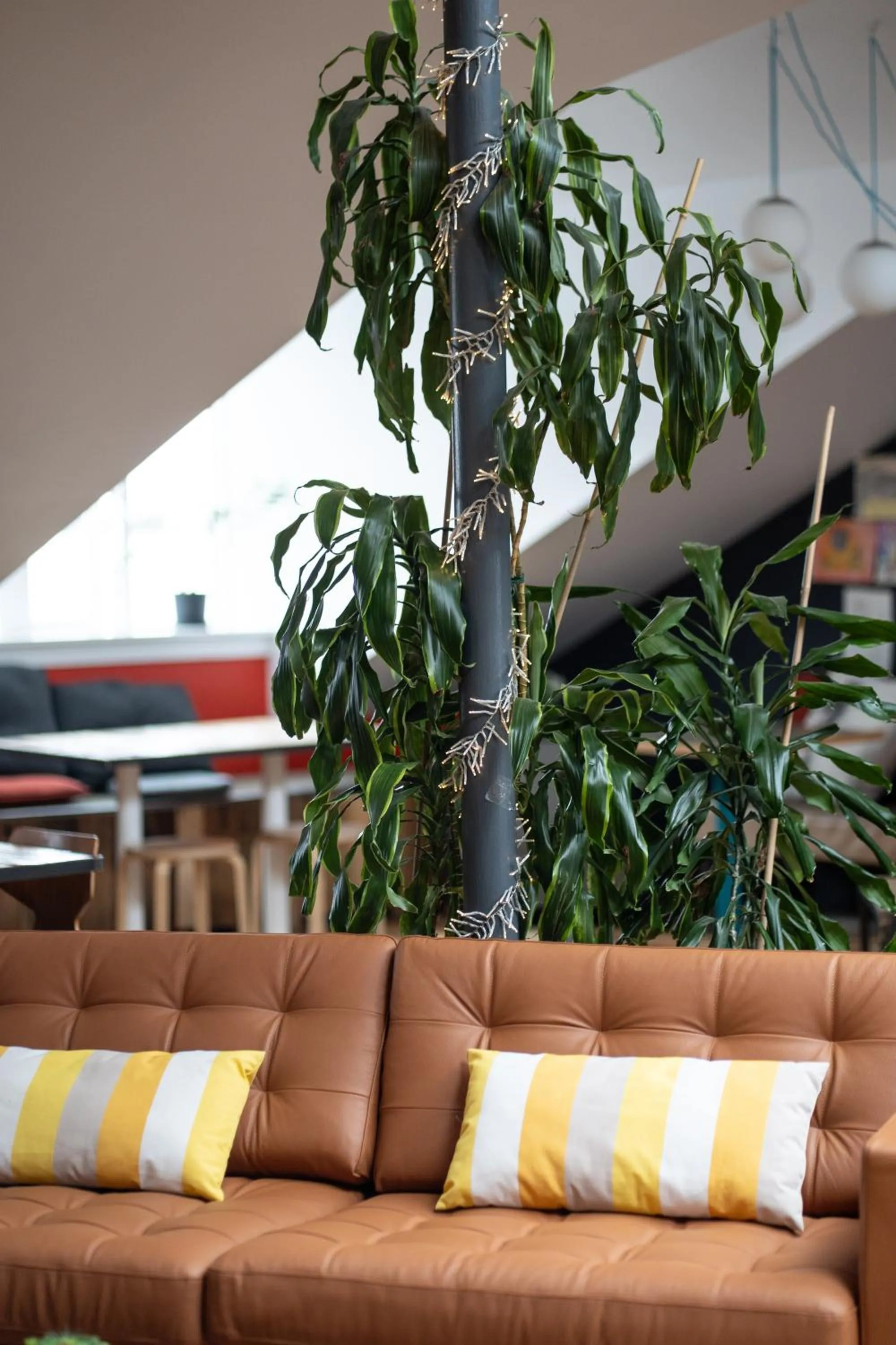 Property building in Loft - HI Eco Hostel