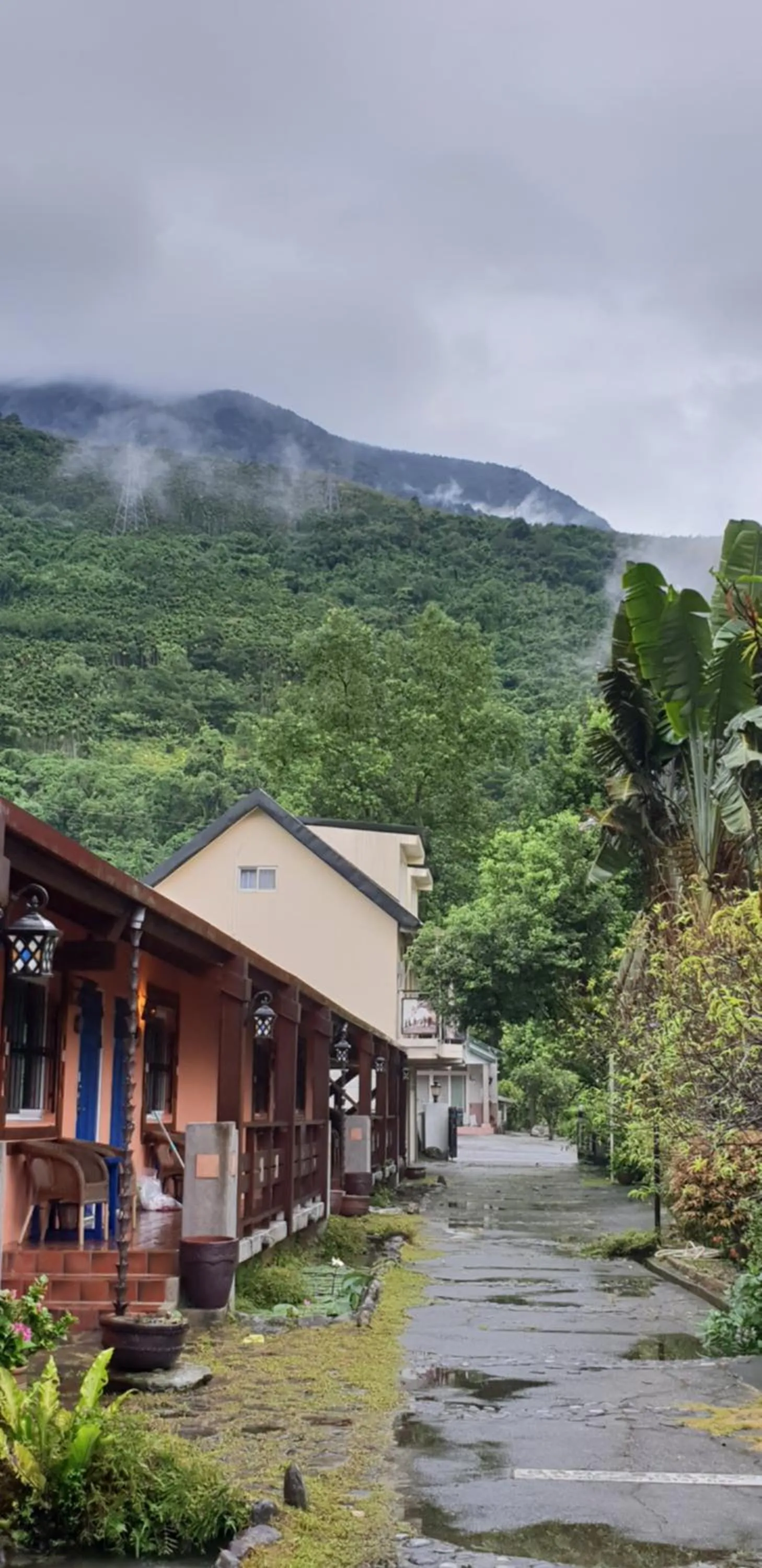 Monet Garden Coffee Farm