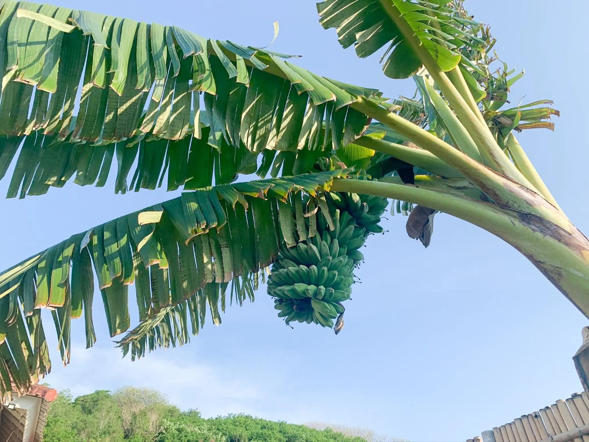 Garden in The Club Villas Lombok