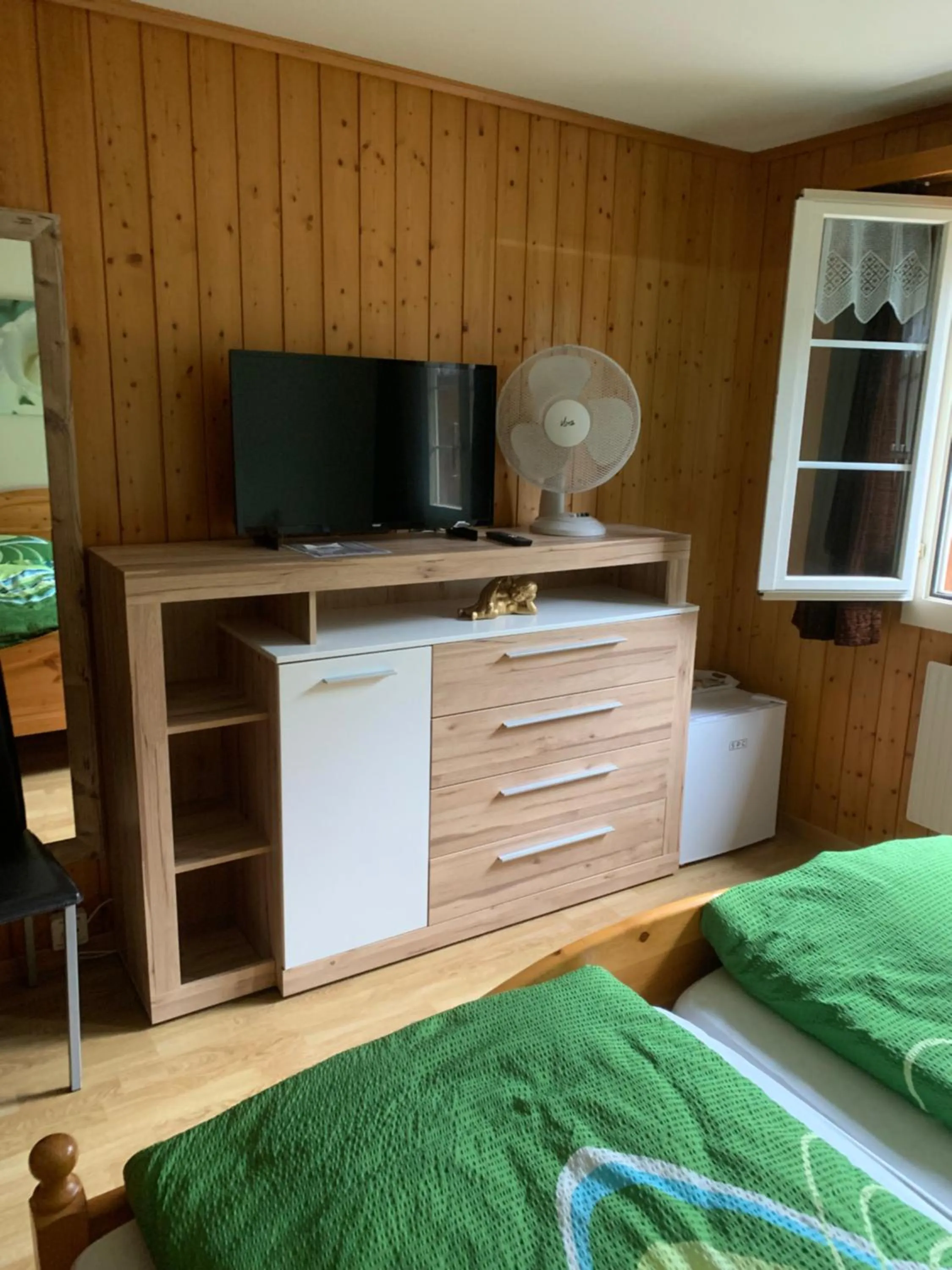 Double Room with Mountain View - single occupancy in Hotel Rössli