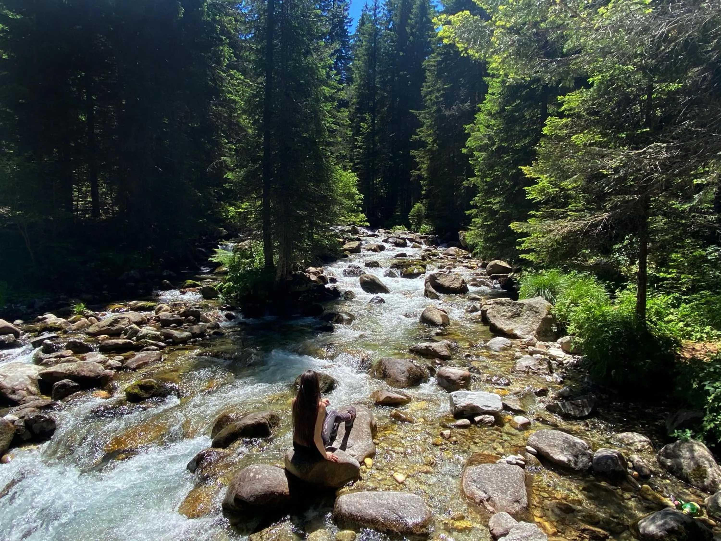 Natural landscape in Park Hotel Panorama