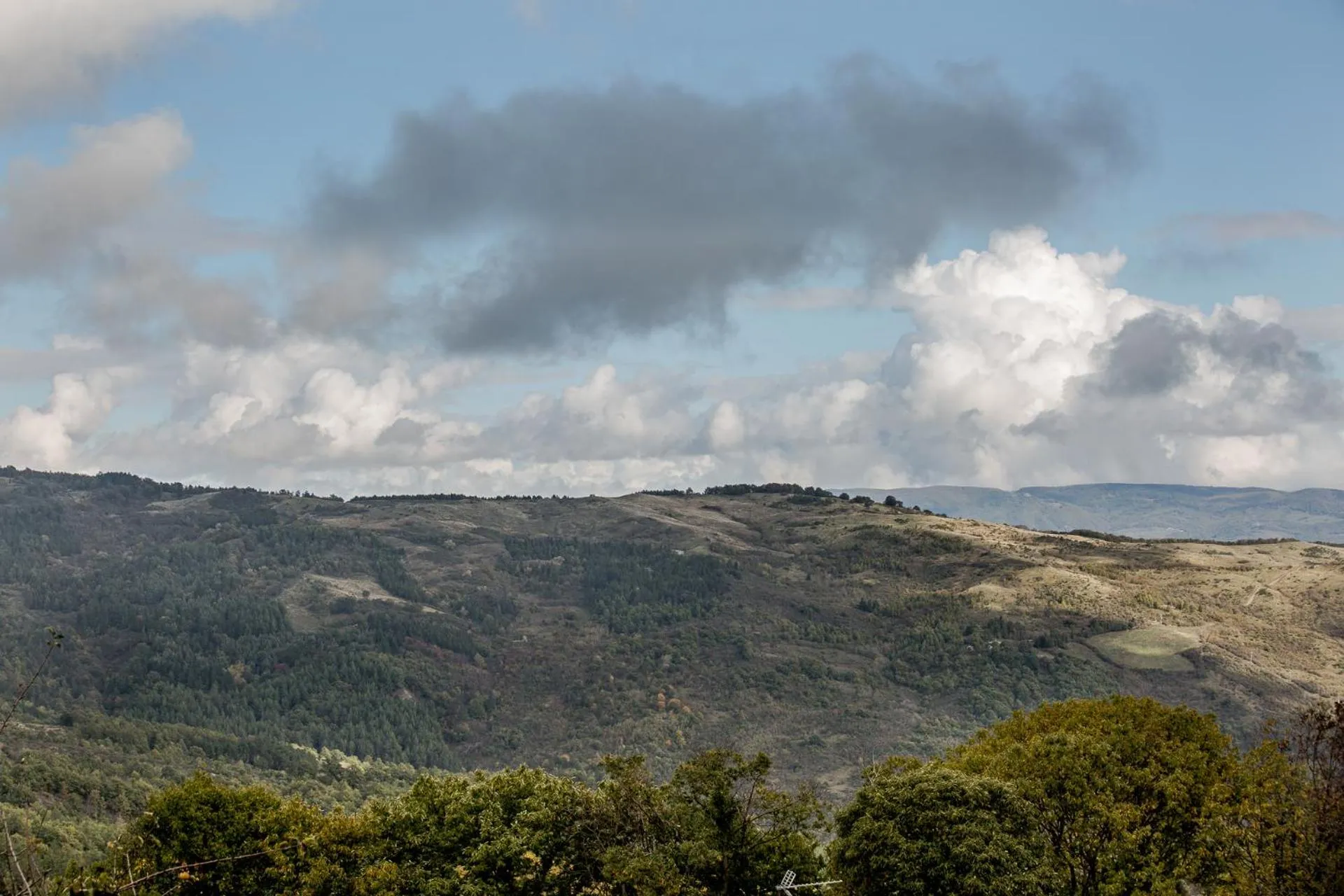 View (from property/room) in B&B Gli Archi