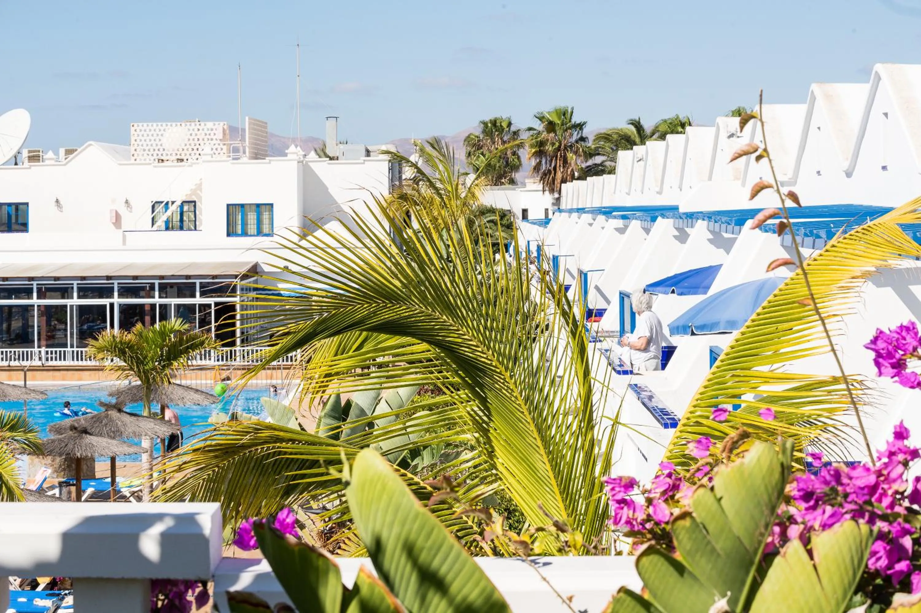 Pool view in Grupotel Cinco Plazas
