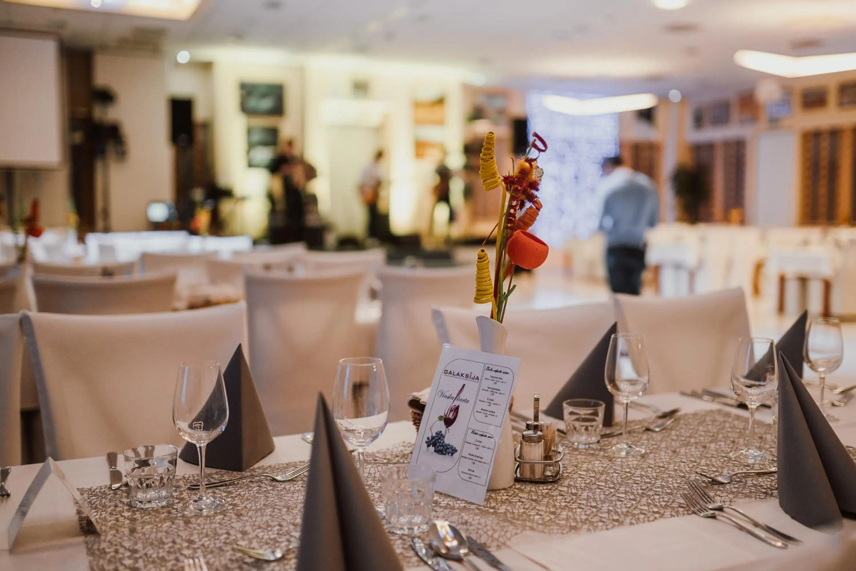 Restaurant/places to eat in Hotel Galaksija Trebnje