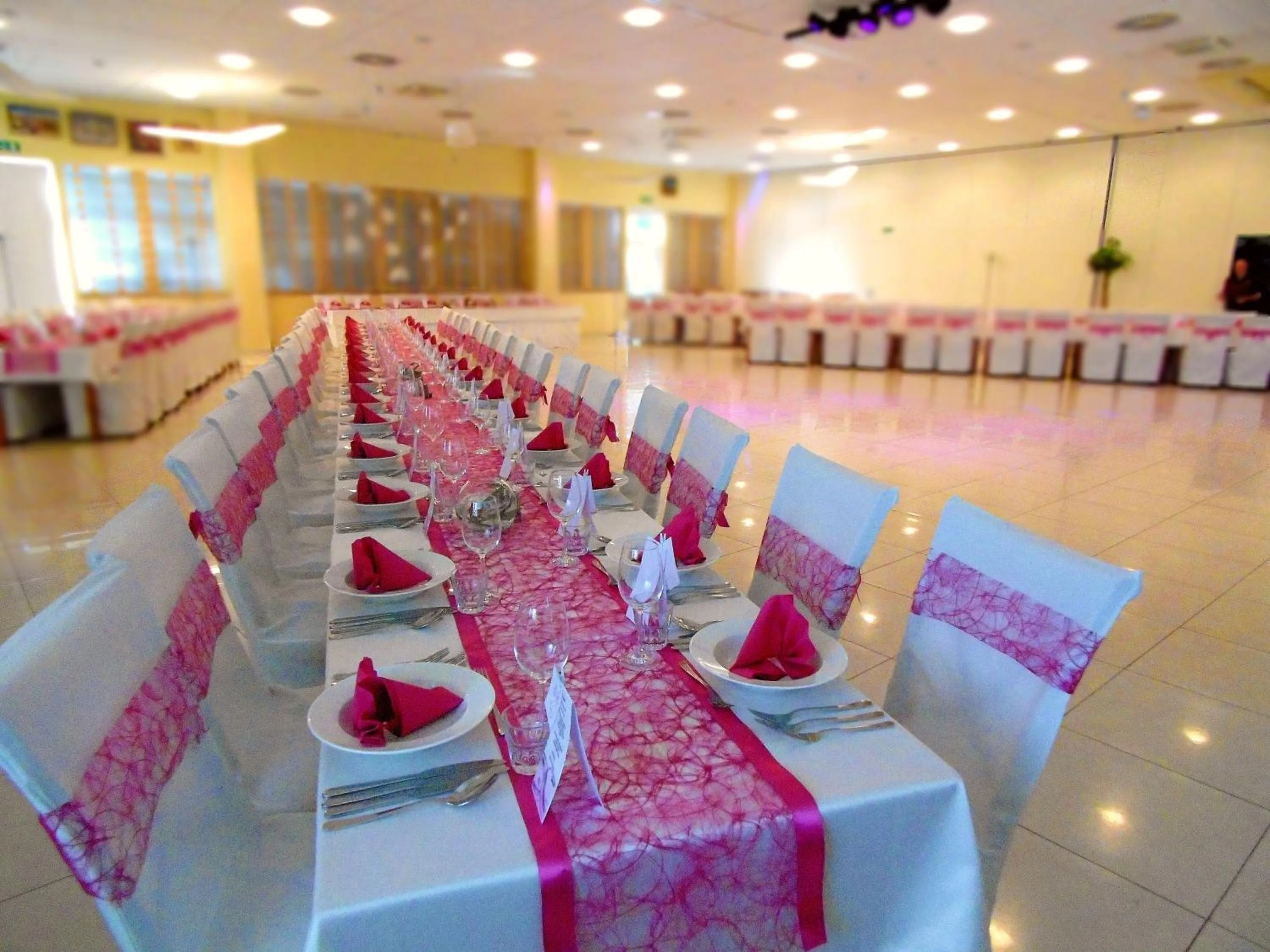 Restaurant/places to eat in Hotel Galaksija Trebnje