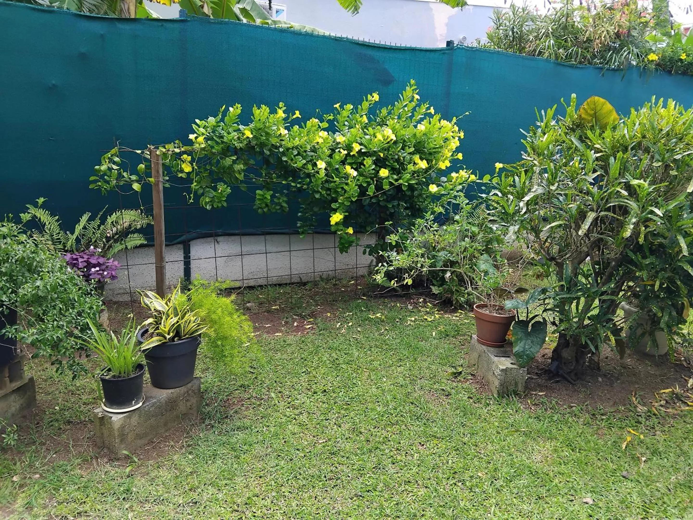 Garden in Maison élégante à Petit Bourg + Piscine