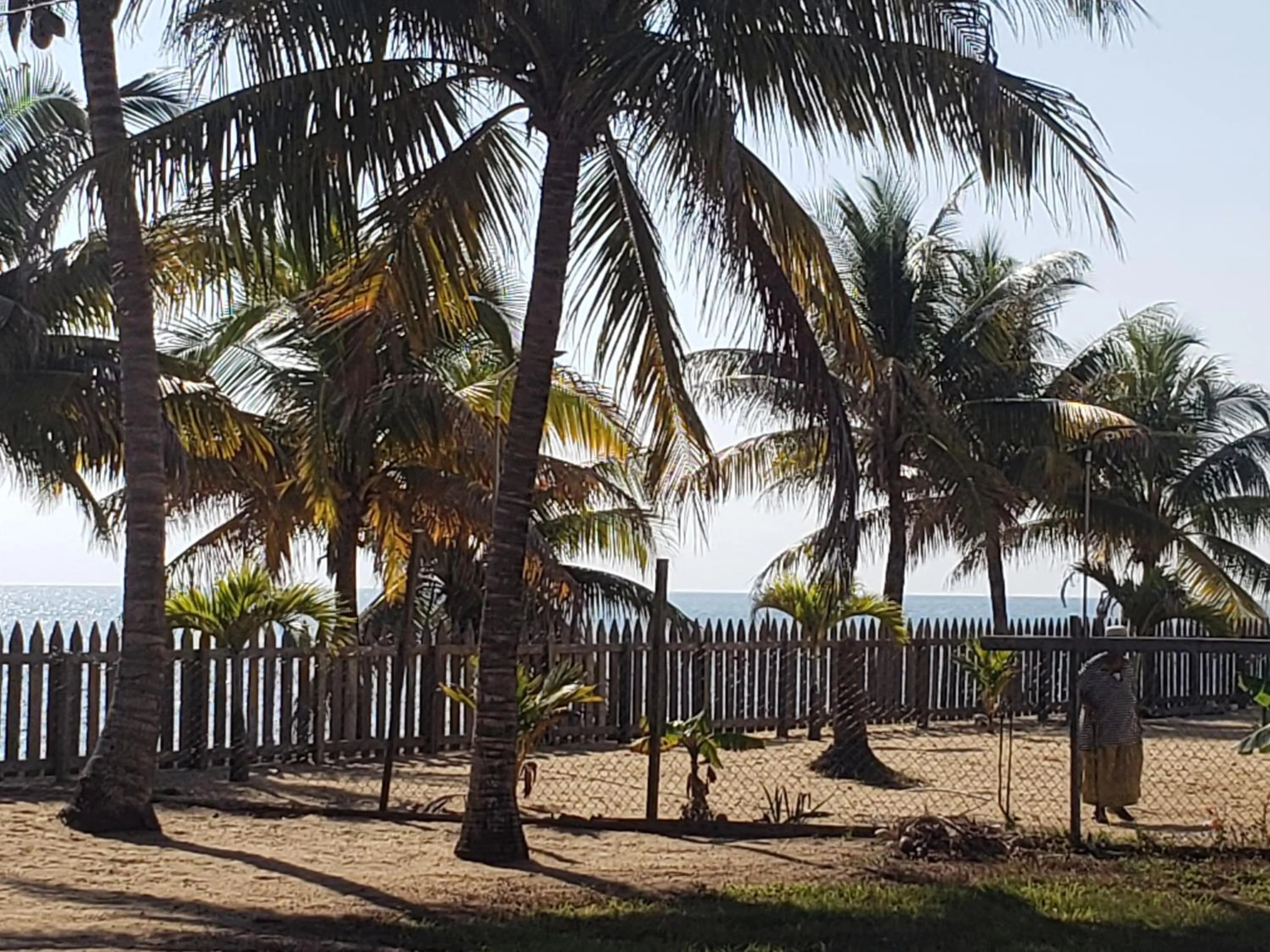 Beach in Pal's on the beach - Dangriga, Belize