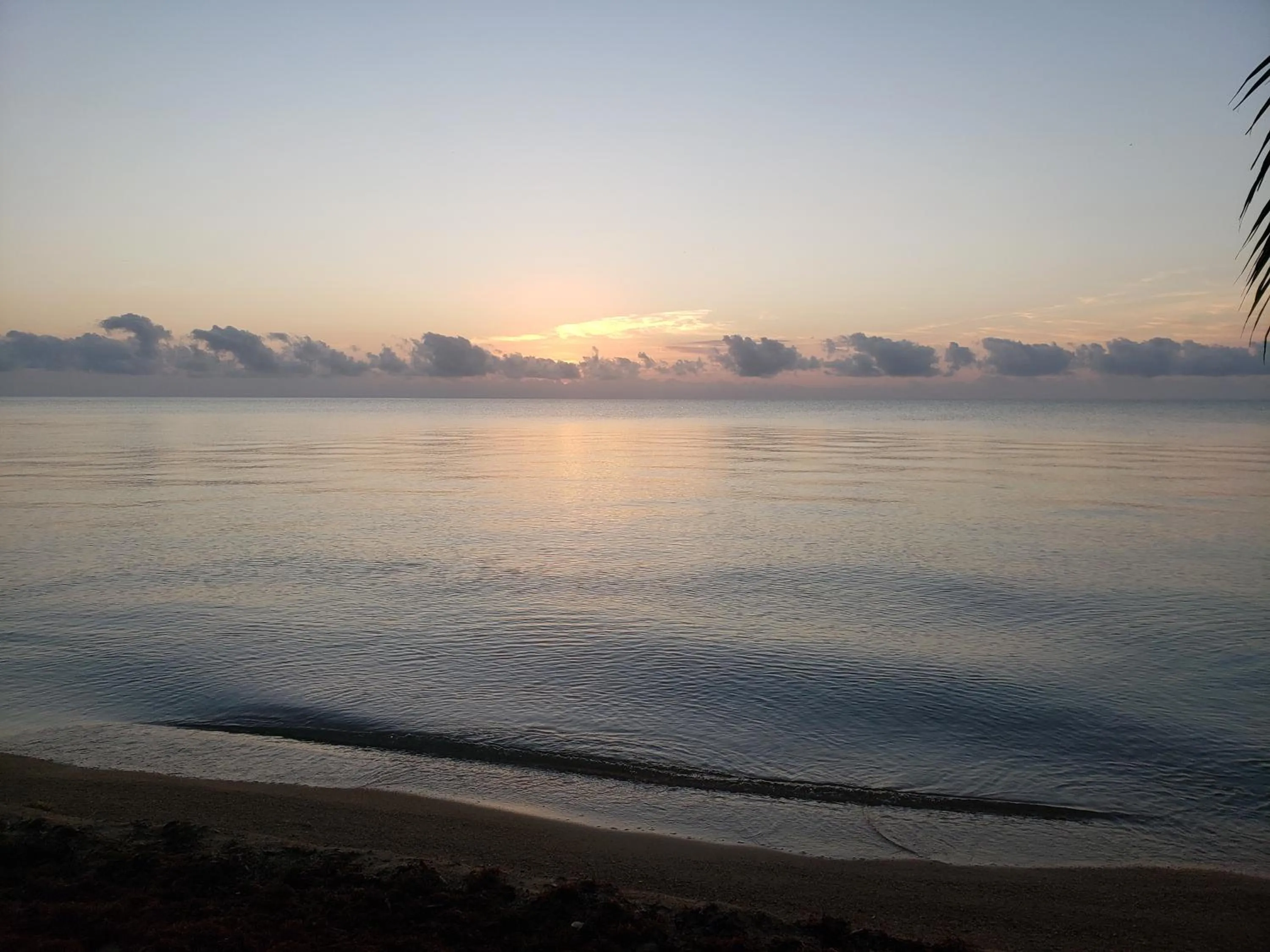 Beach in Pal's on the beach - Dangriga, Belize