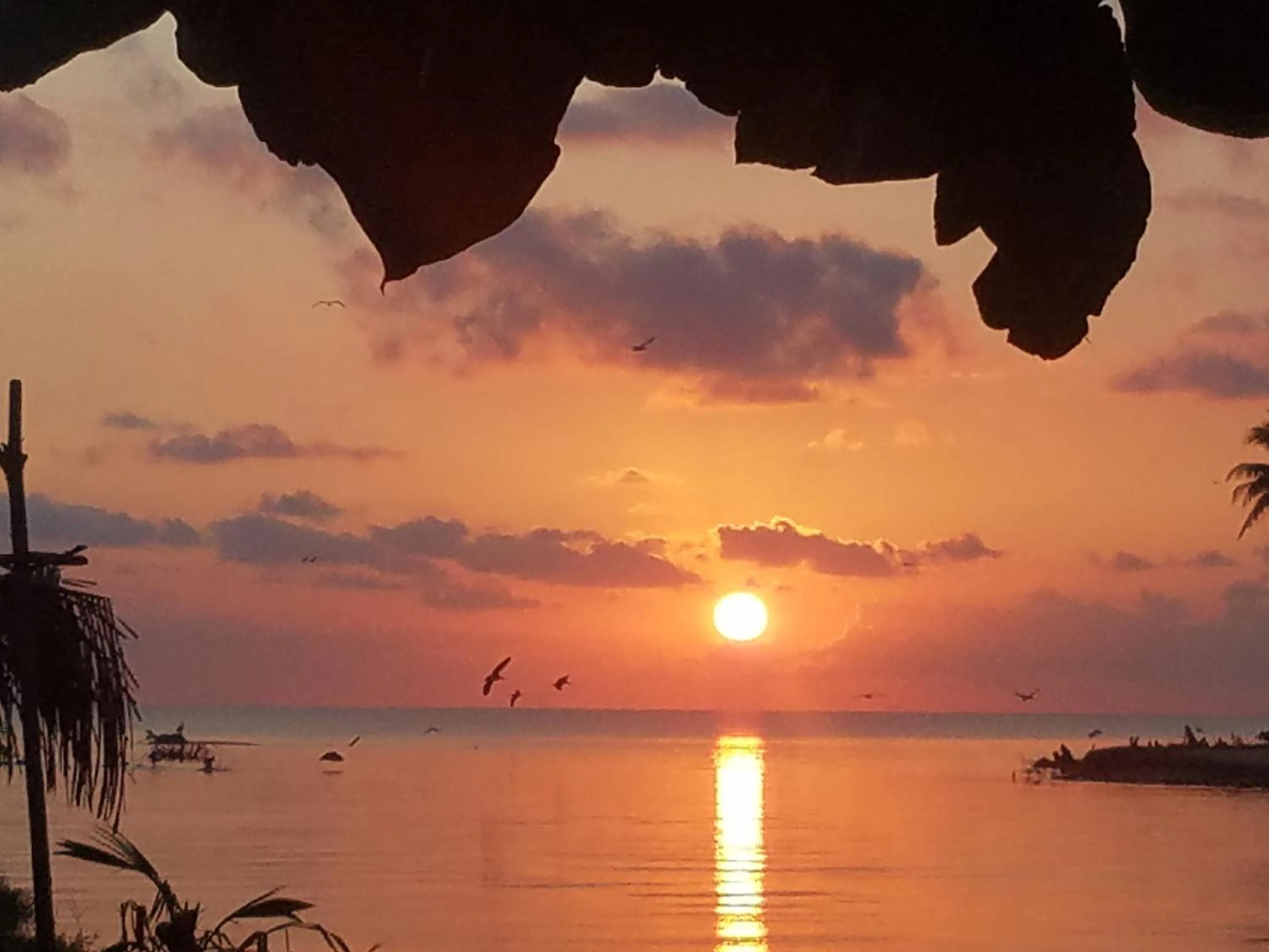 Natural landscape in Pal's on the beach - Dangriga, Belize