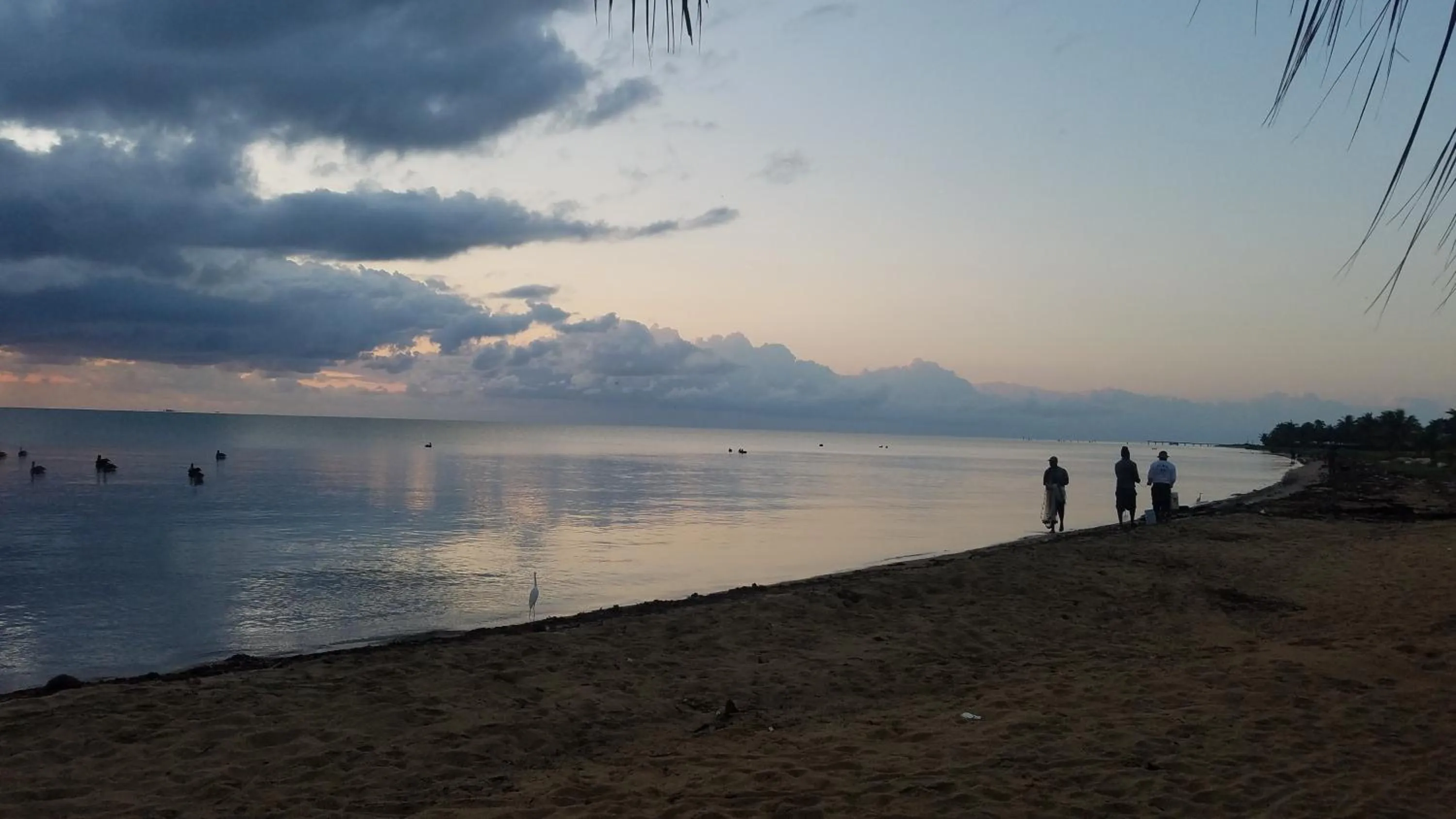 Beach in Pal's on the beach - Dangriga, Belize
