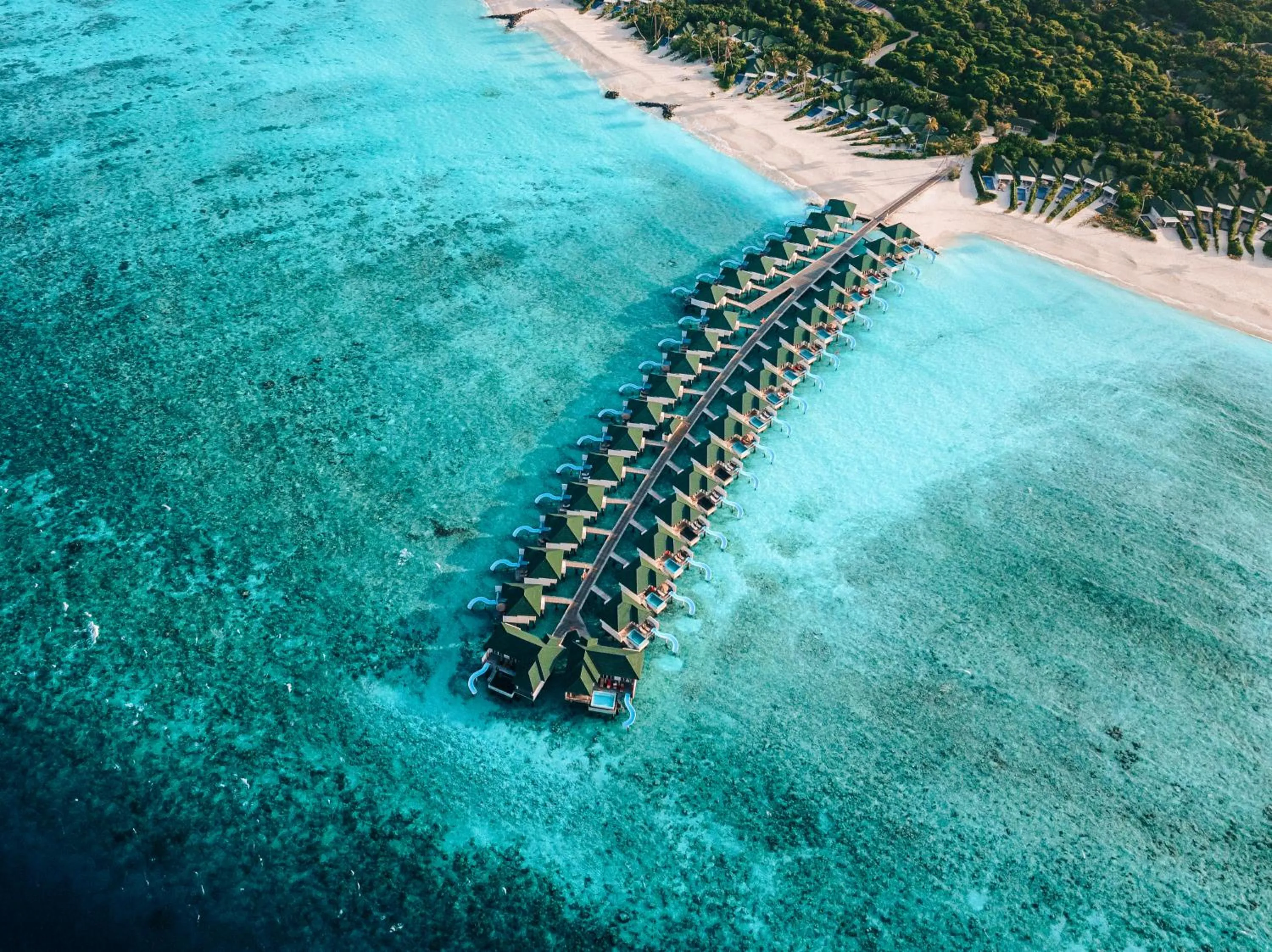 Siyam World Maldives - 24-Hour Premium All-inclusive with Free Transfer