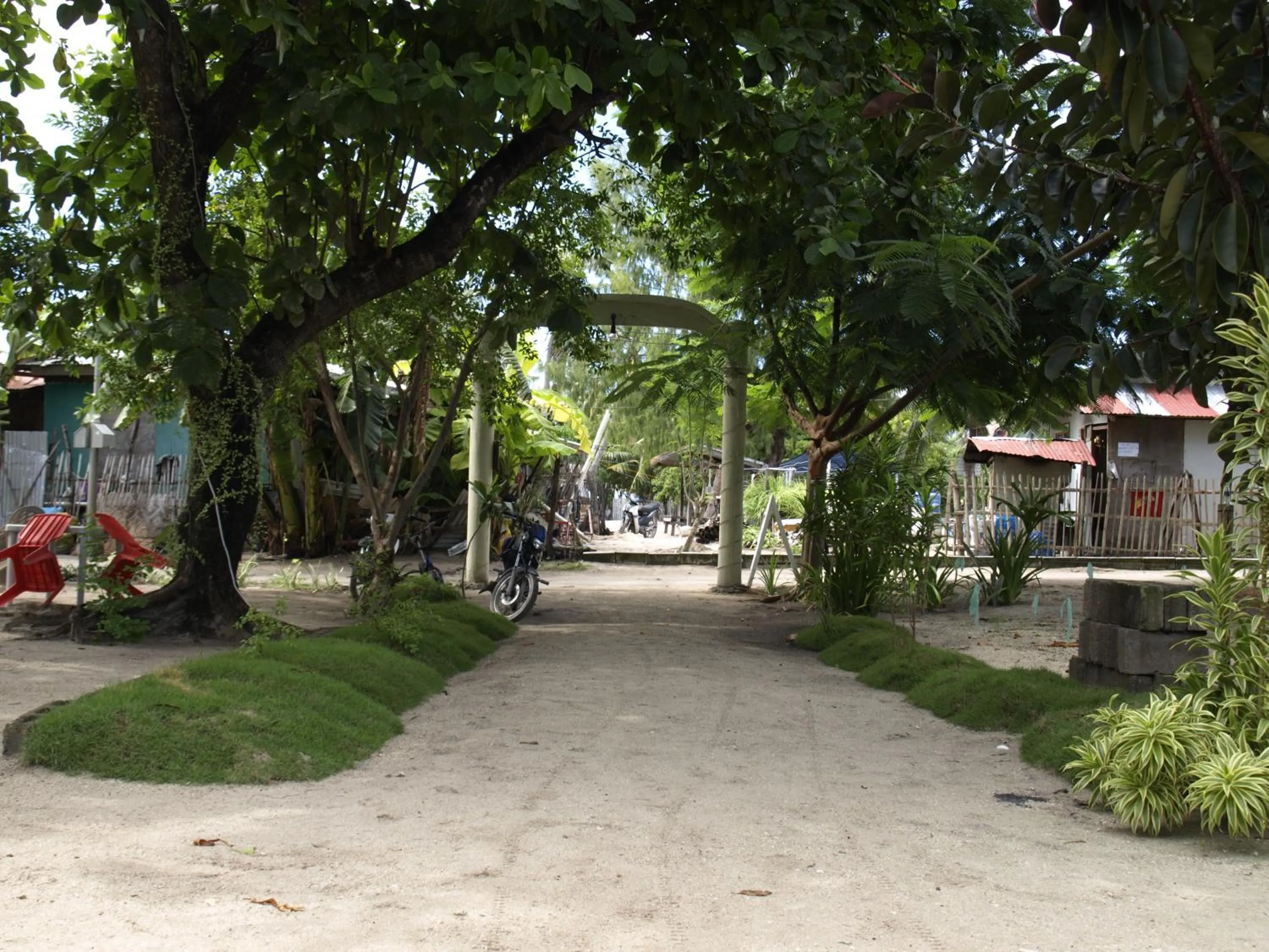 Garden in The Shark's Tail Dive Resort