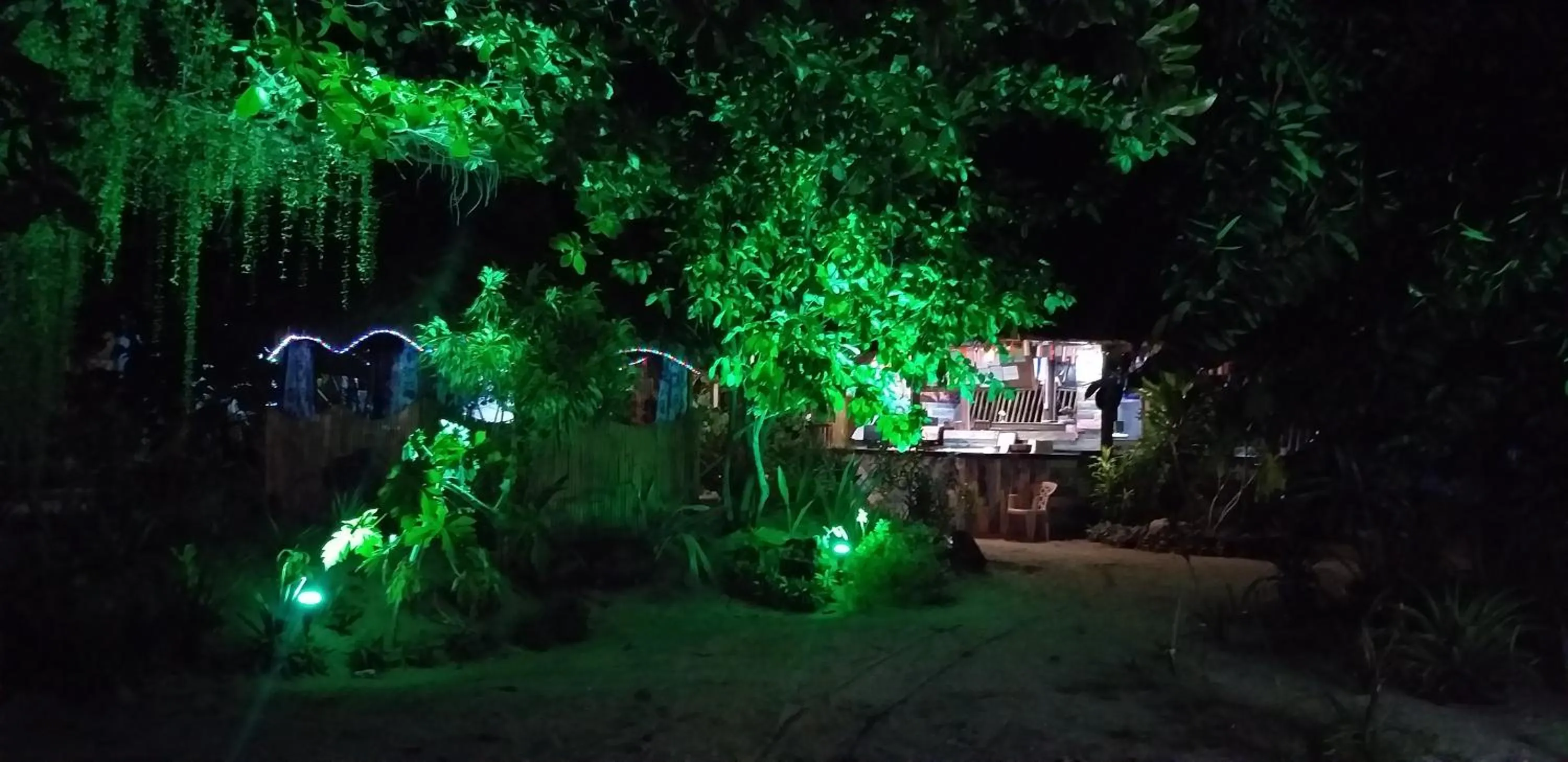 Garden in The Shark's Tail Dive Resort