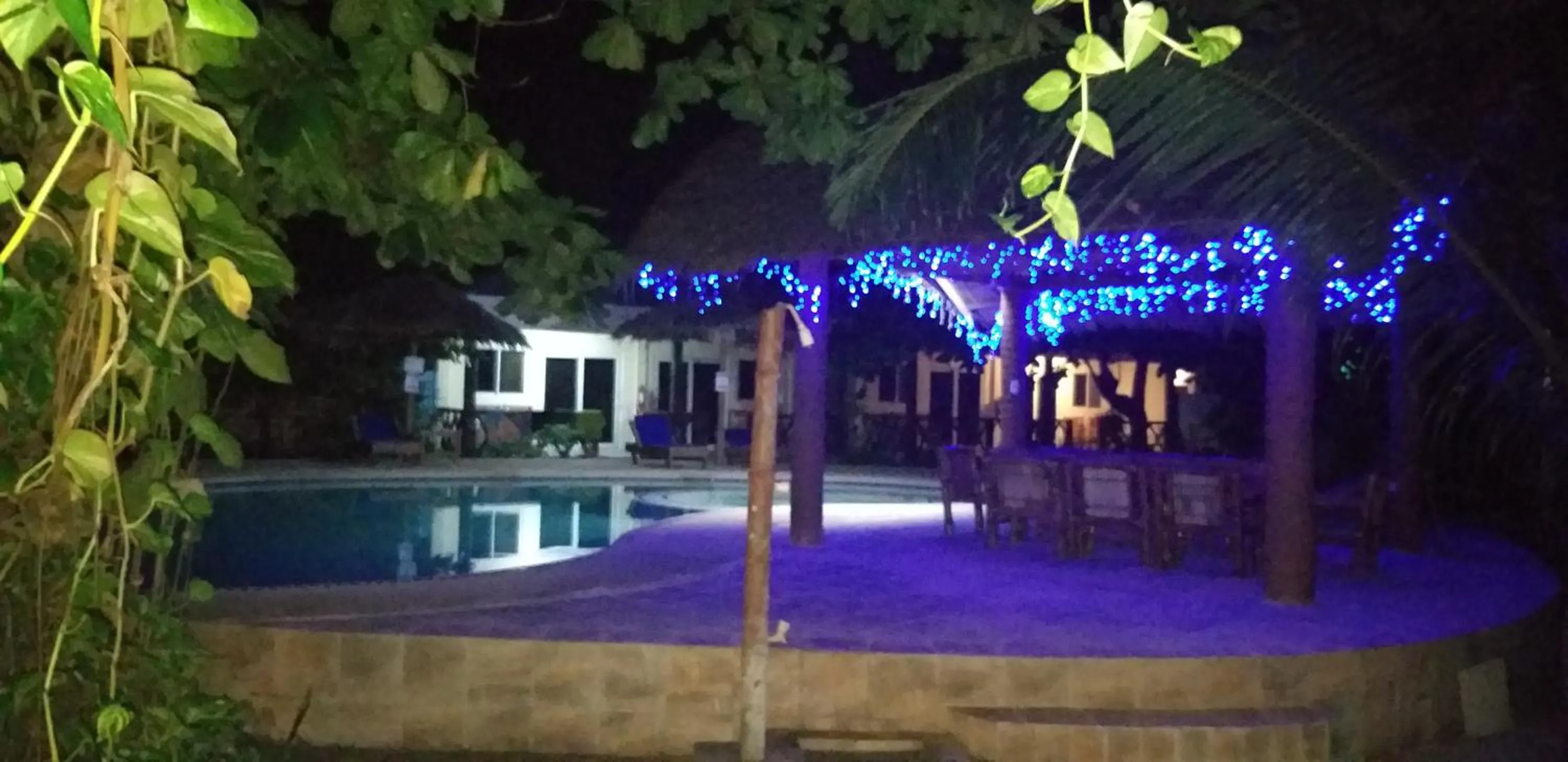 Swimming pool in The Shark's Tail Dive Resort