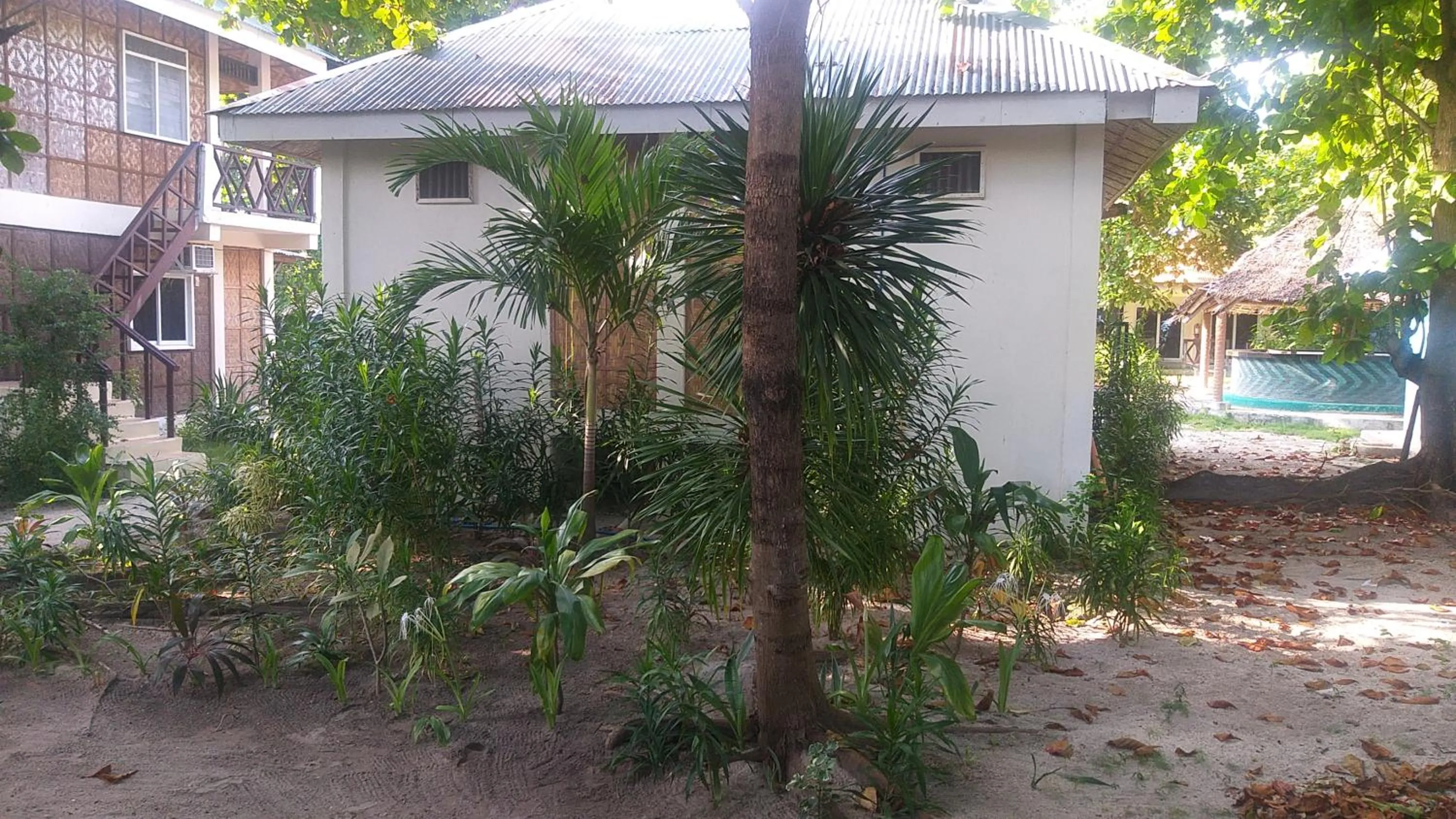 Garden view in The Shark's Tail Dive Resort