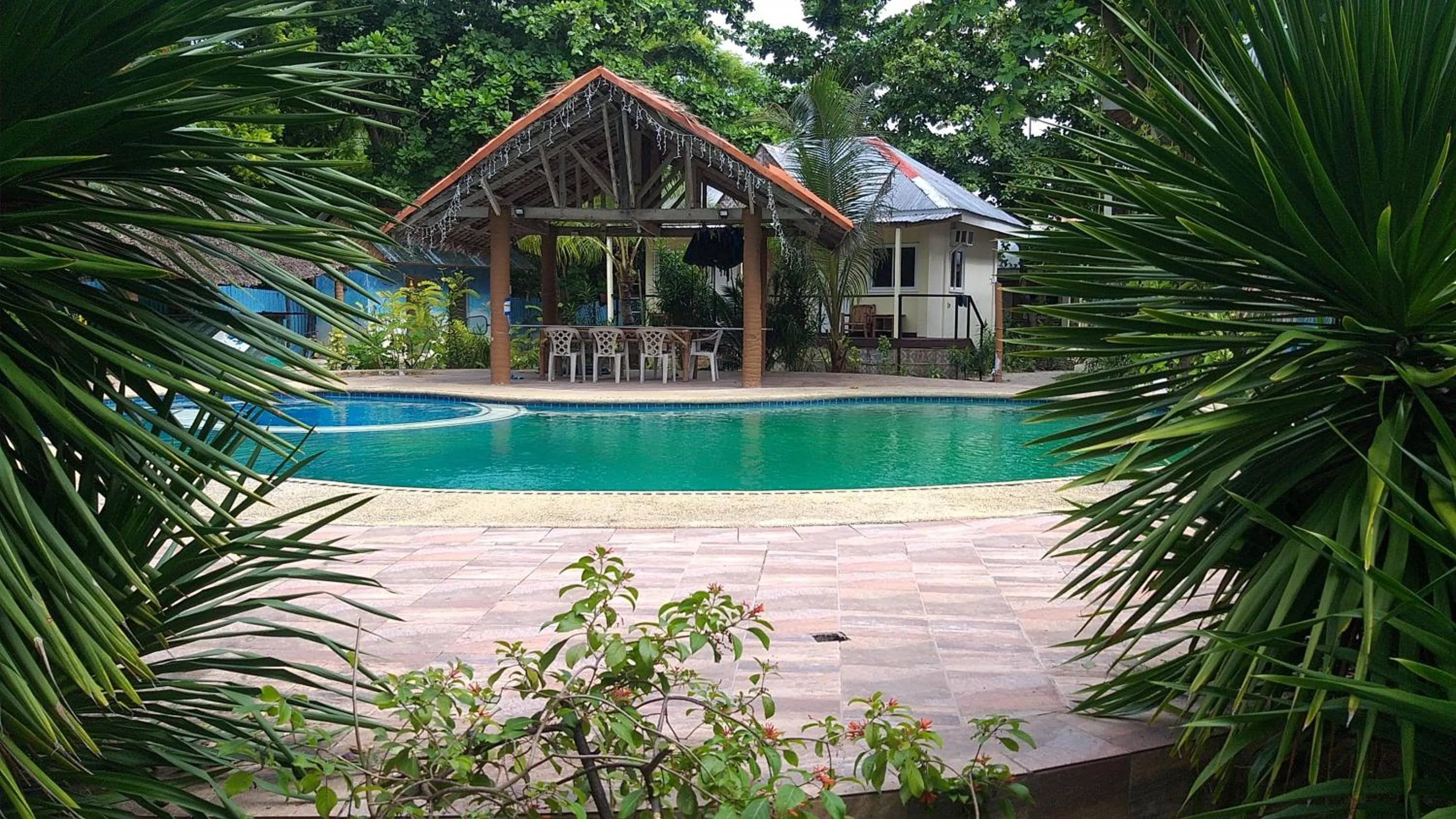 Swimming pool in The Shark's Tail Dive Resort