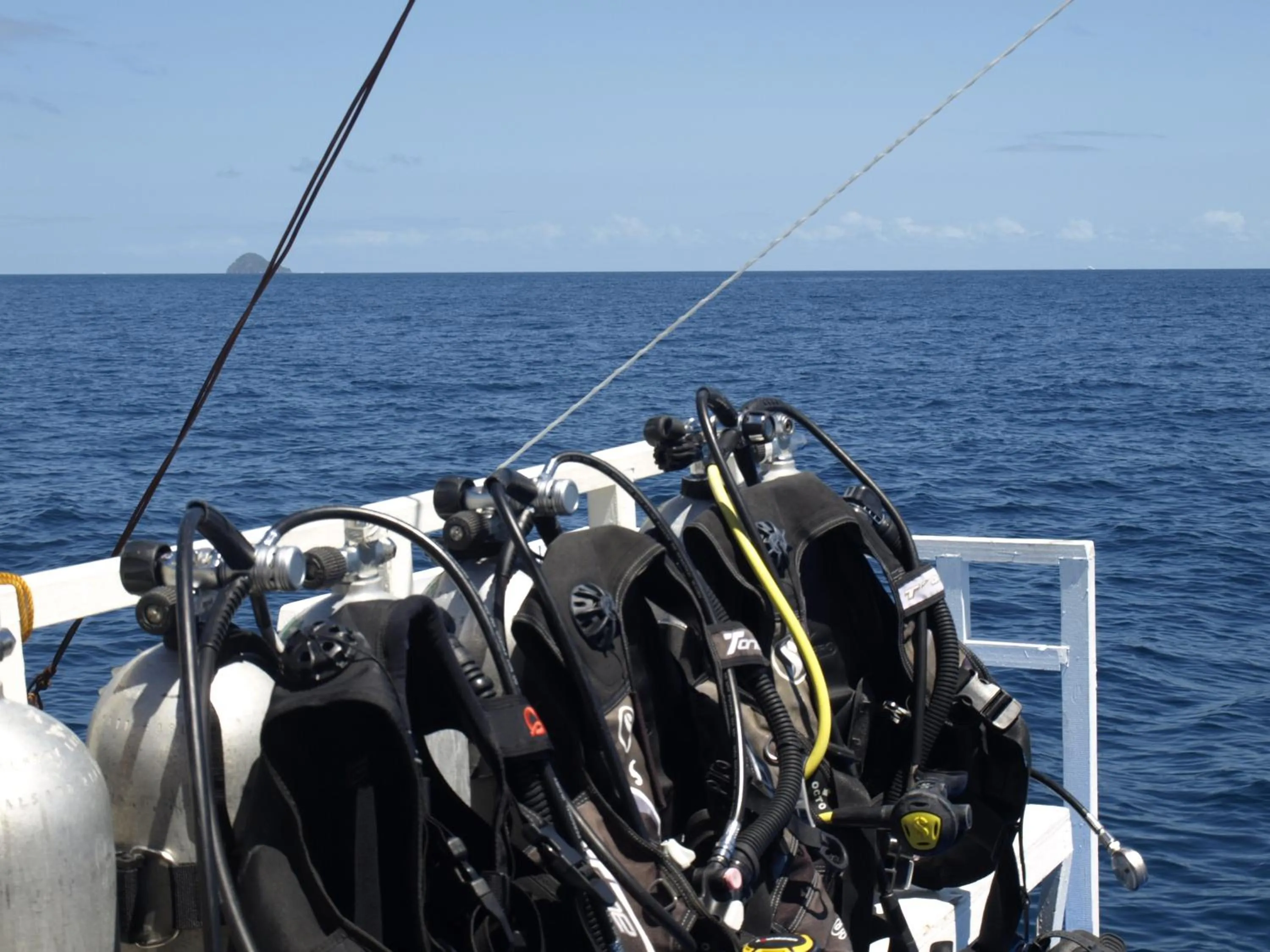 Diving in The Shark's Tail Dive Resort