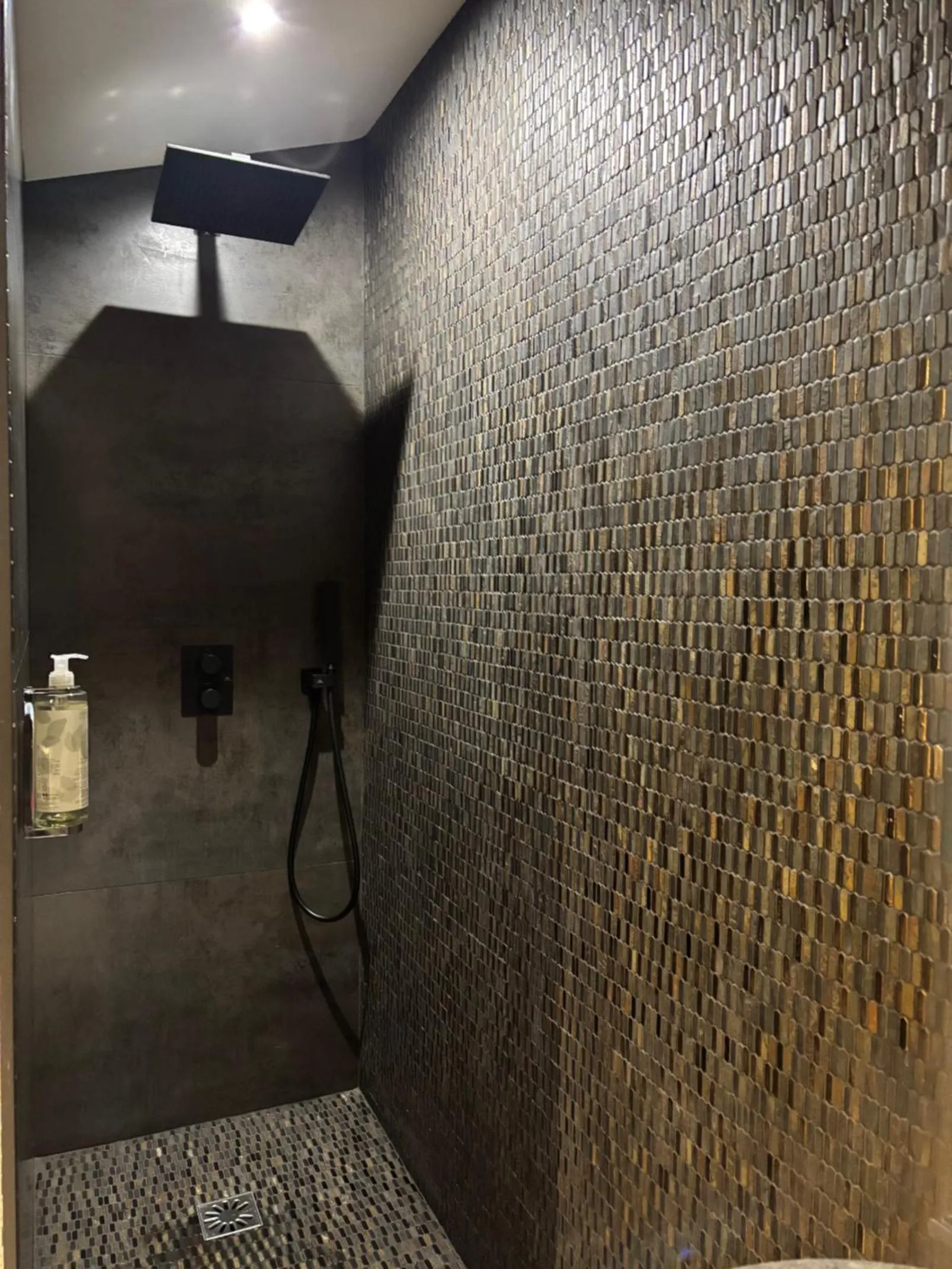Shower in Maison Tillot
